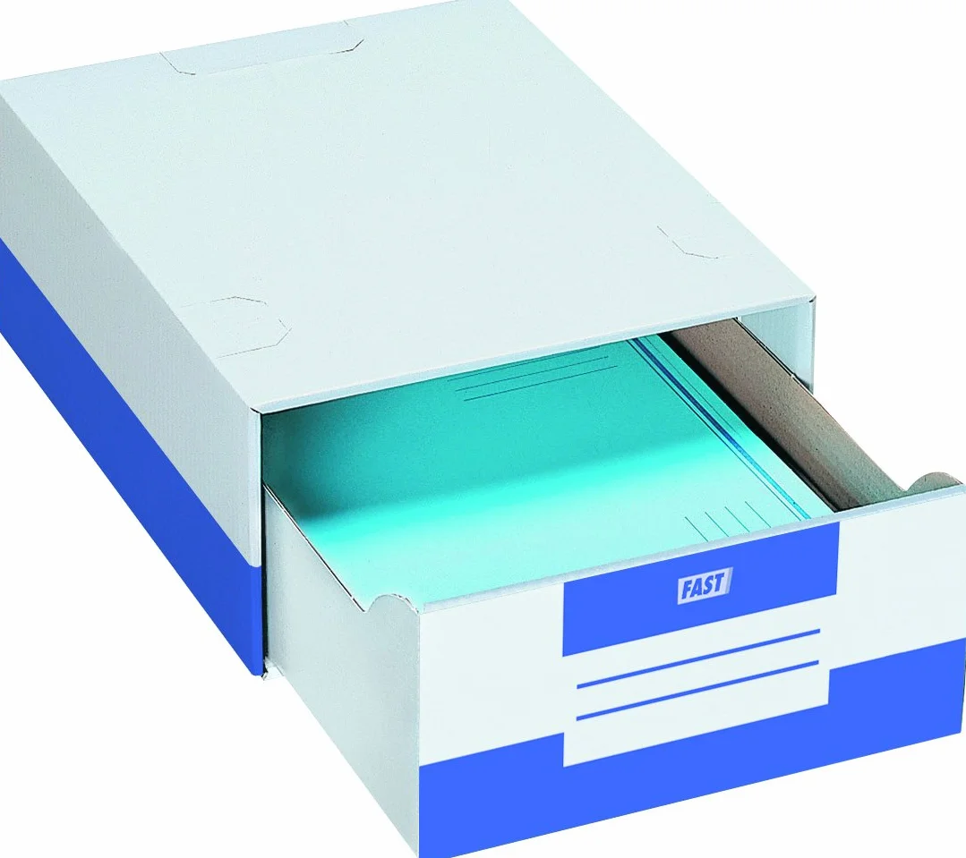 Fast 4950X10 Raccoglitore in Cartone, Confezione da 10 Pezzi