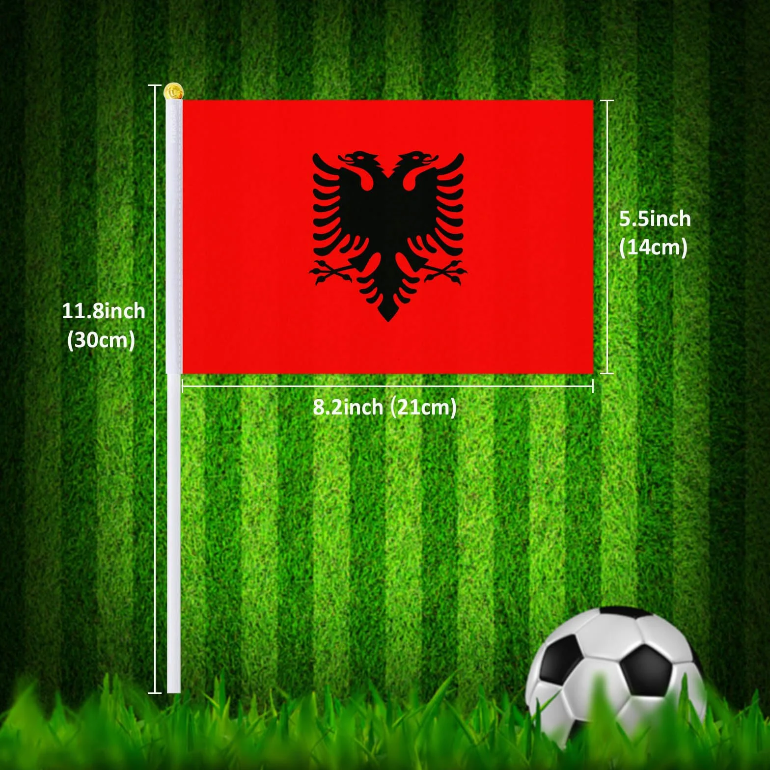 Bandiere Albania 14x20 cm 50 pezzi bandiere nazionali albanesi portatili