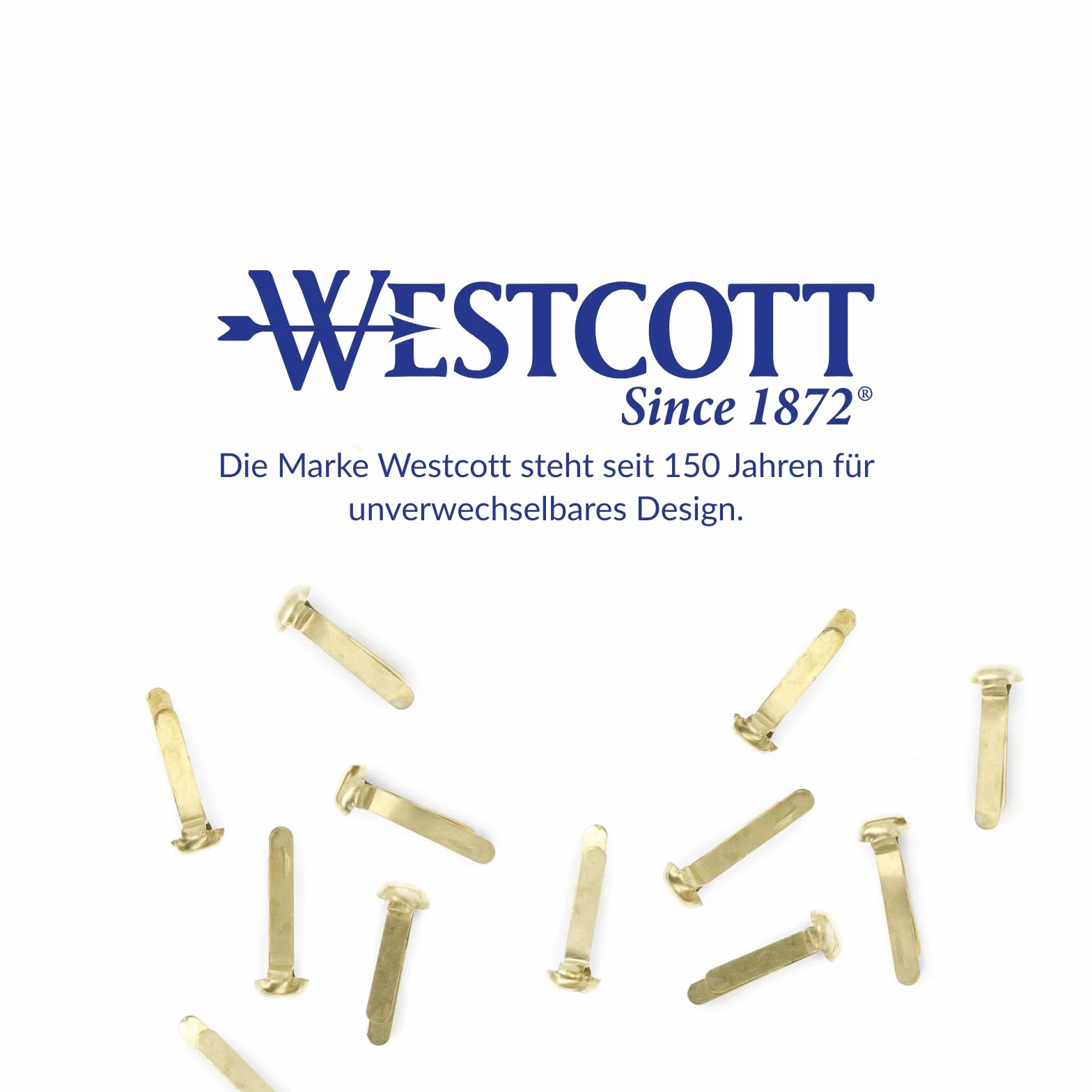 Clip a testa tonda Westcott E-10592 in ottone 13 mm 100 pezzi