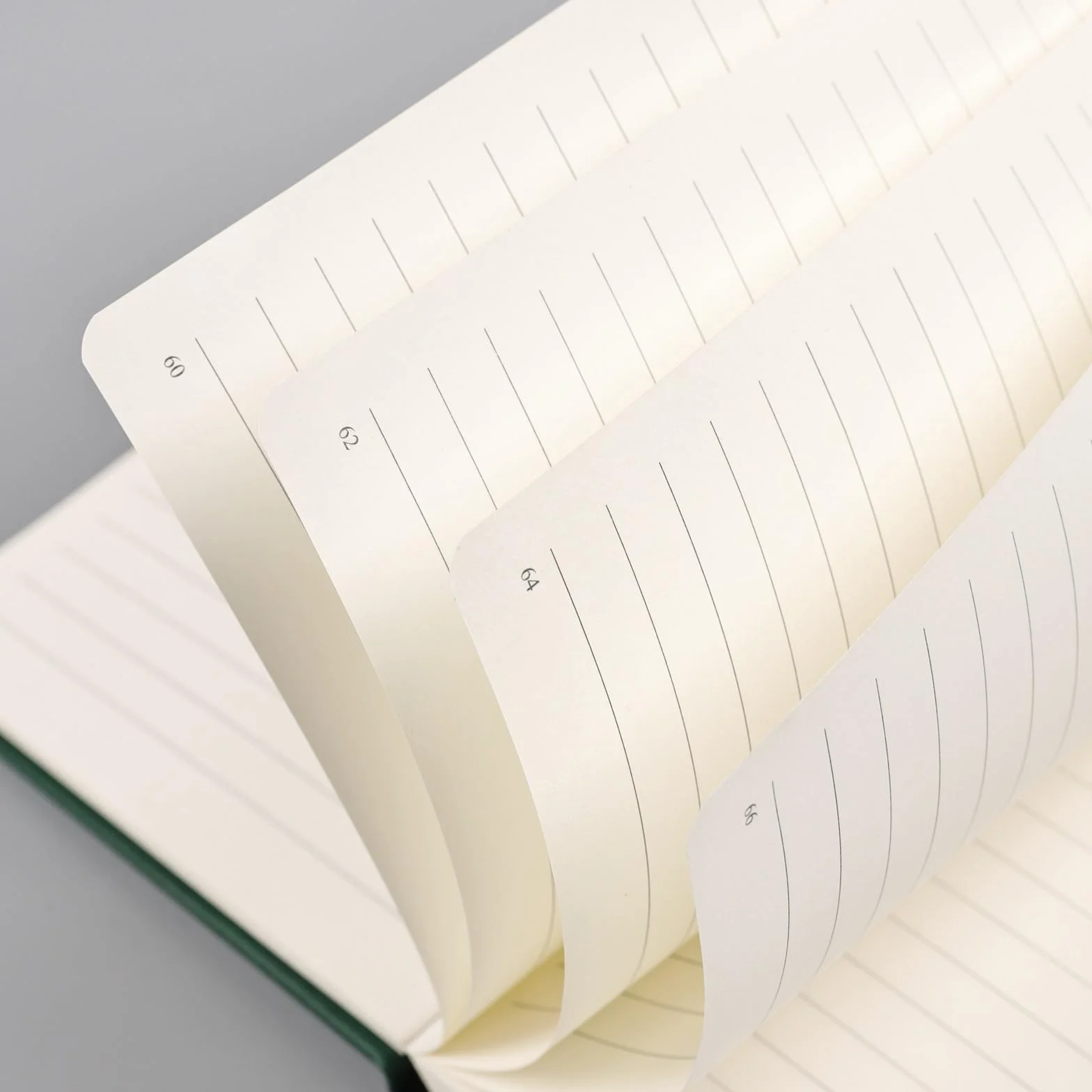 Taccuino a righe formato A5, 192 pagine numerate, con copertina rigida, 100 g/m², carta senza sbavature, copertina rigida con segnalibri, portapenne, tasca interna (verde)