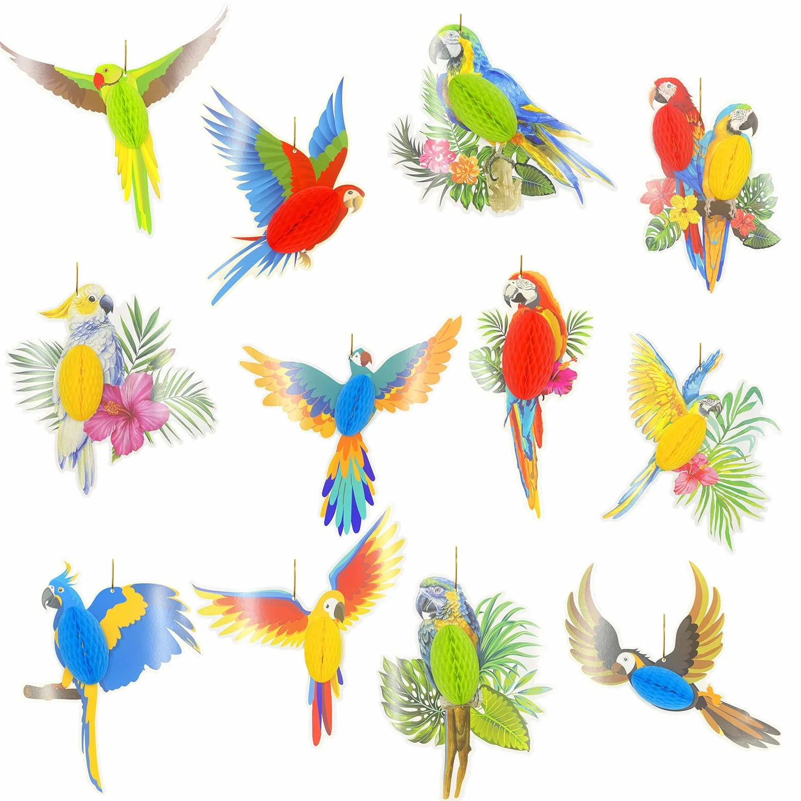 Uccelli Tropicali Ritagli di Carta a Nido d'Ape, Pappagallo a Nido d'Ape per Festa Estiva Compleanno Bambini