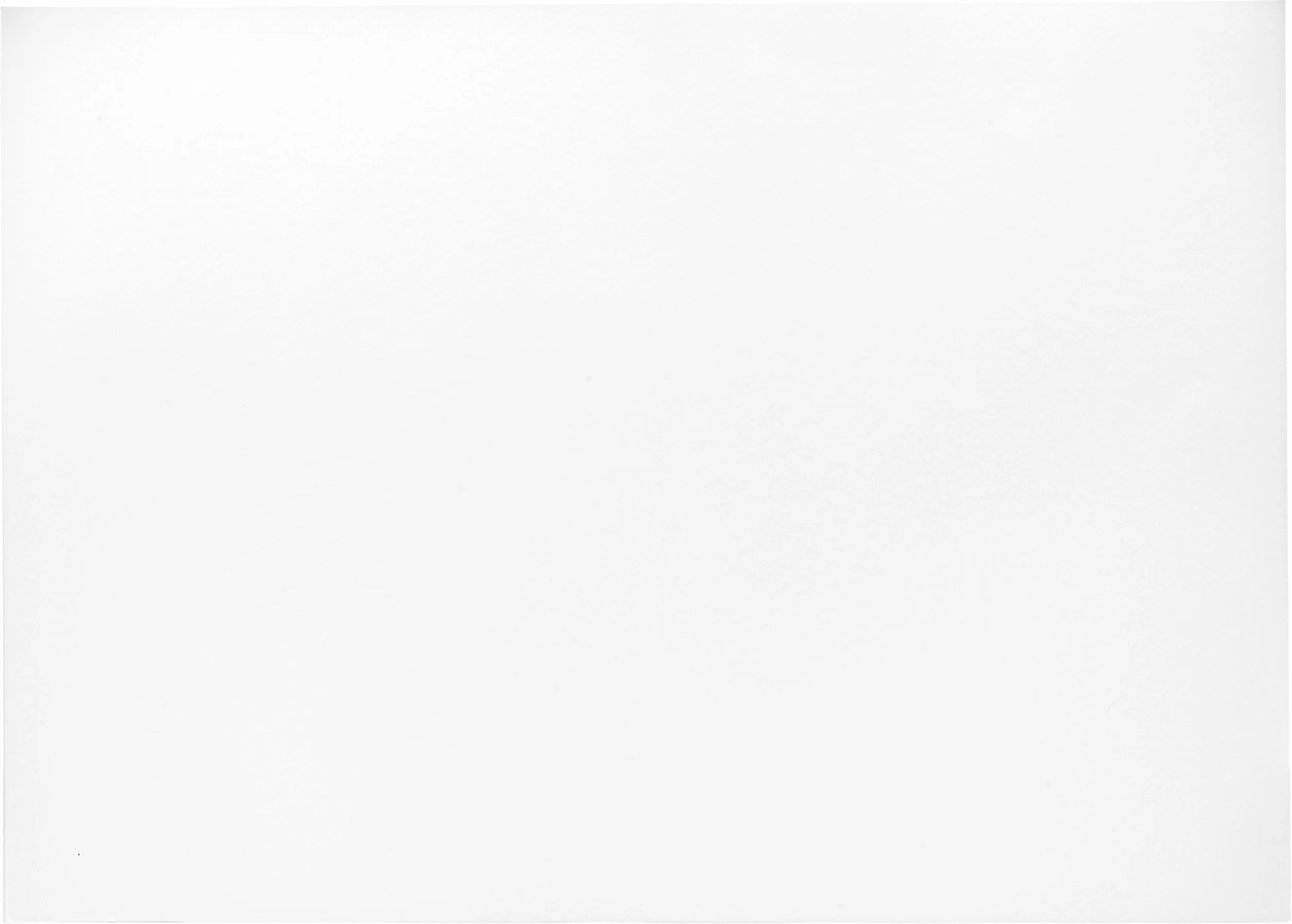 Herlitz Cartoncino 50 x 70 cm 10 Pezzi Bianco