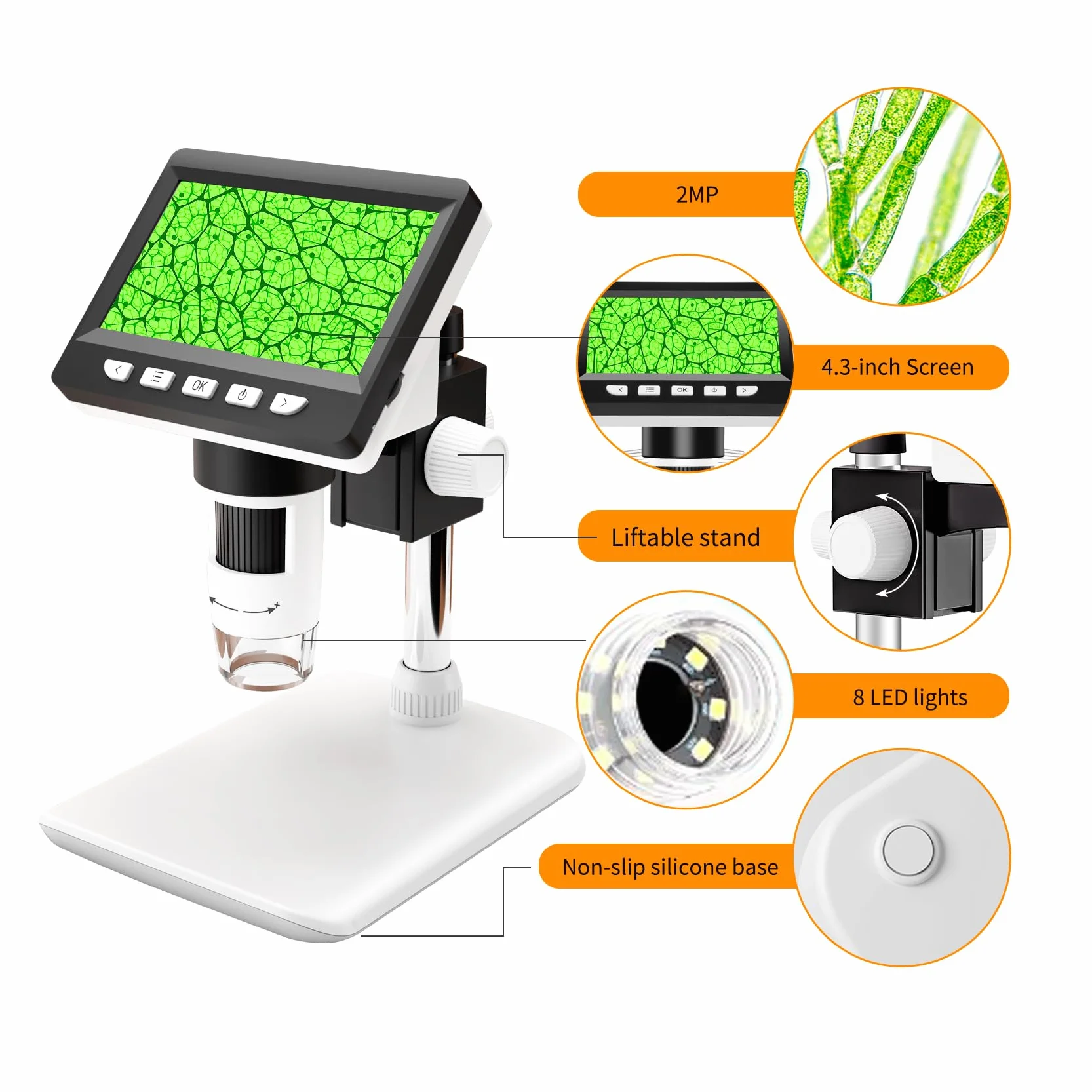 Microscopio Digitale 4,3 Pollici 8 LED 50-1000X per Bambini e Adulti