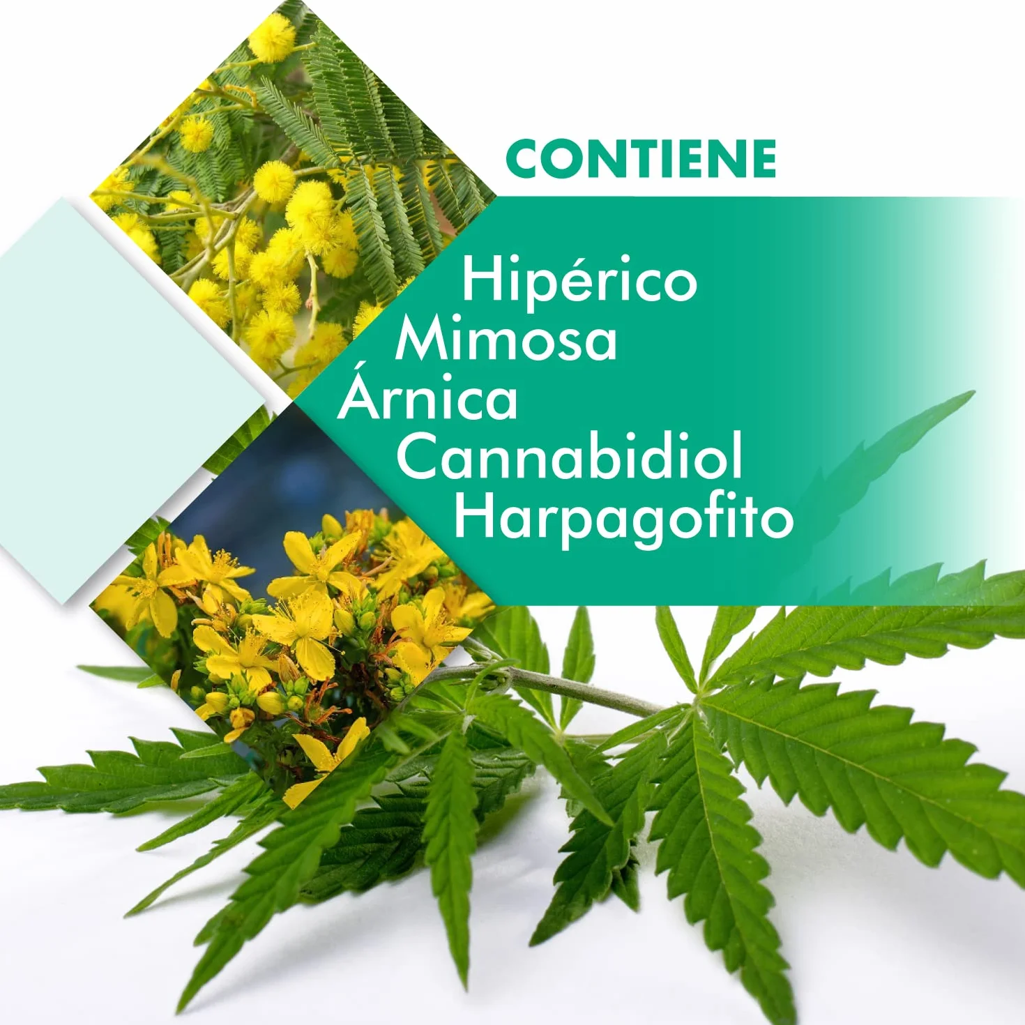 Gel Activo con CBD Fisioterapia 300ml Cannactiva