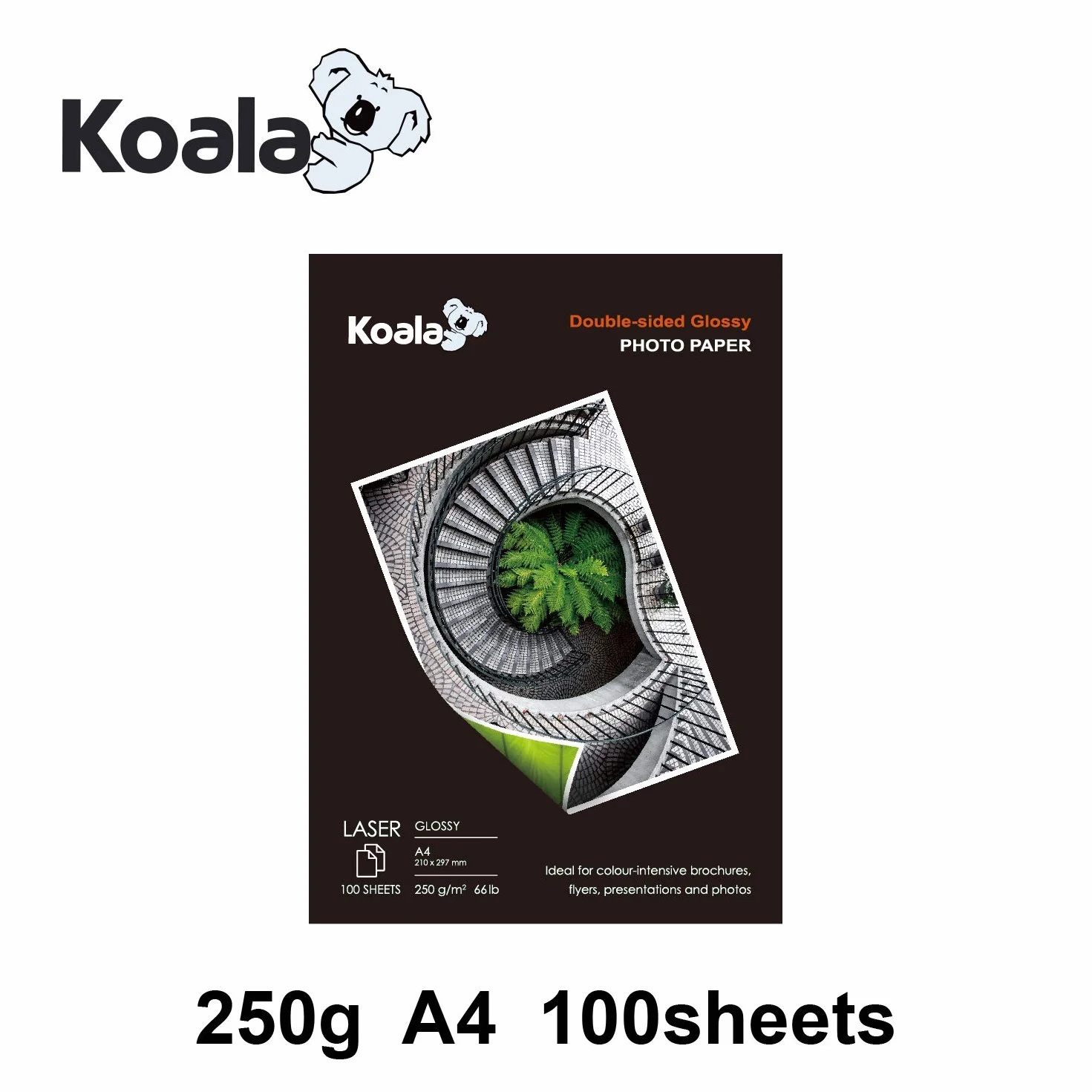 KOALA Carta fotografica Lucida Fronte-Retro A4 250 g/m² 100 fogli per stampante LASER