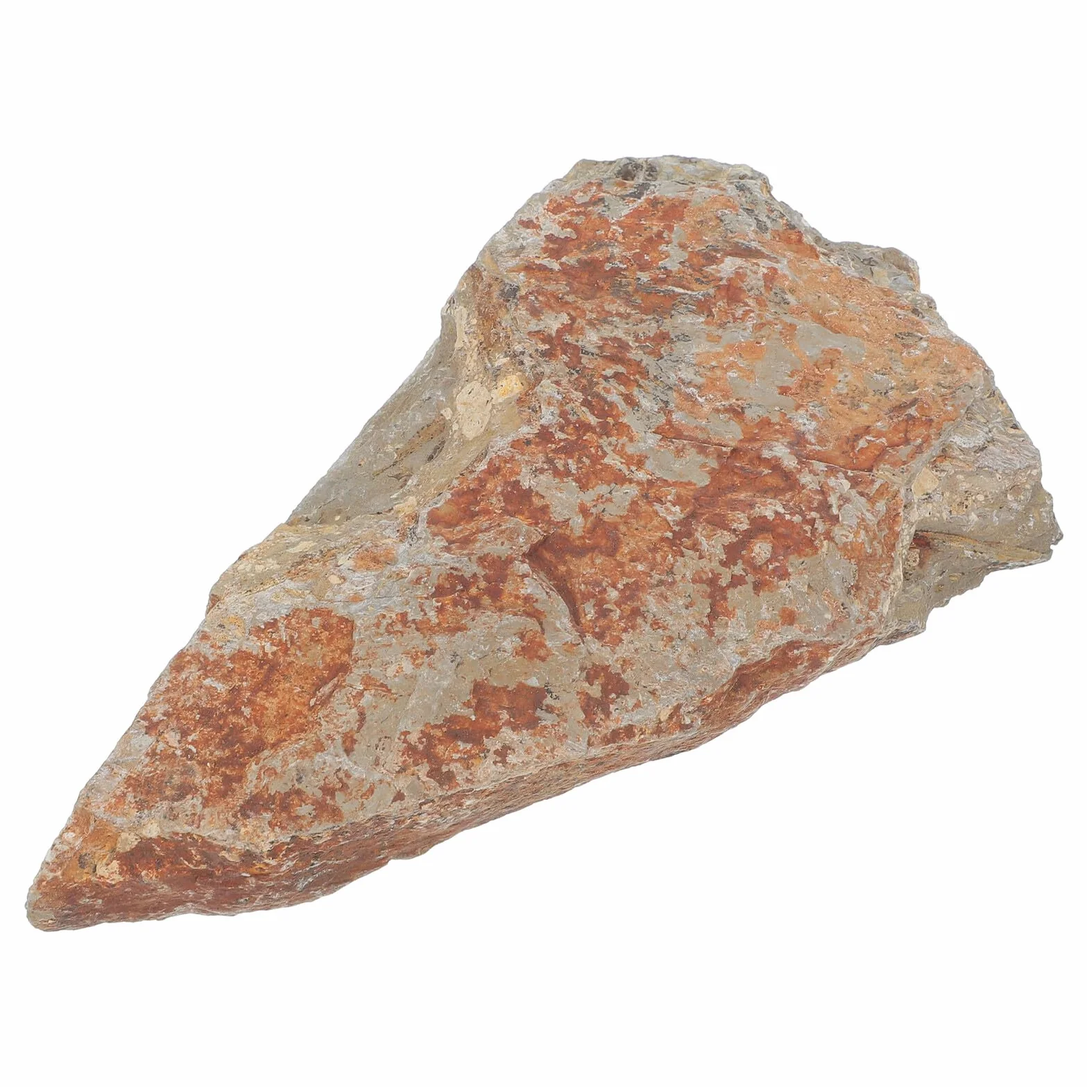 KOMBIUDA Campione di Felce Autentico in Pietra Naturale, Decorazione Elegante per Scrivania, Reperto Paleobotanico Duraturo per Collezione Scientifica e Arredamento Interno