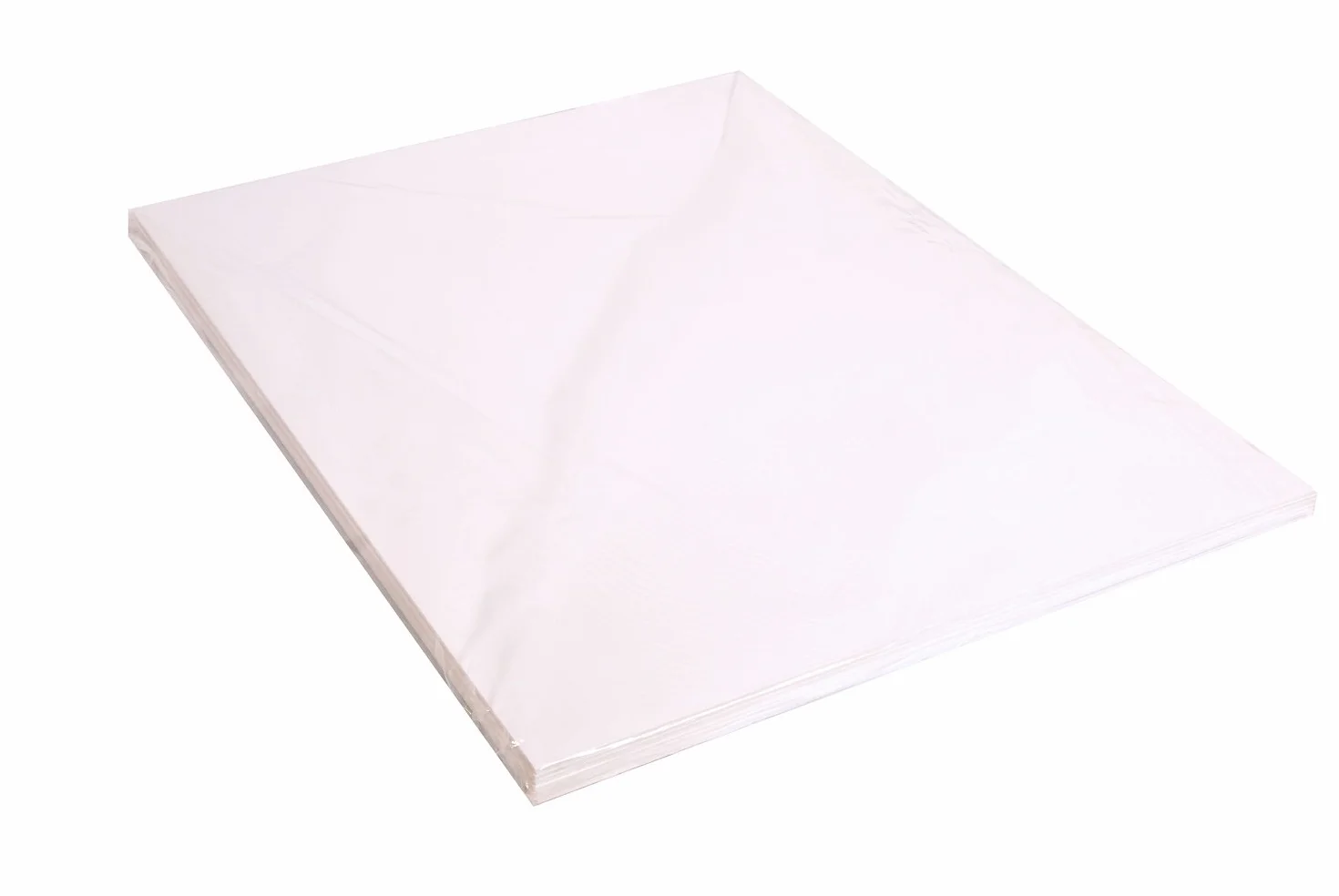 Clairefontaine - Ref 93661C - Cartone con retro in schiuma (5 fogli) - Dimensioni 50 x 65 cm, leggero e rigido, spessore 5 mm - Adatto per decorazioni, modellismo e cornici