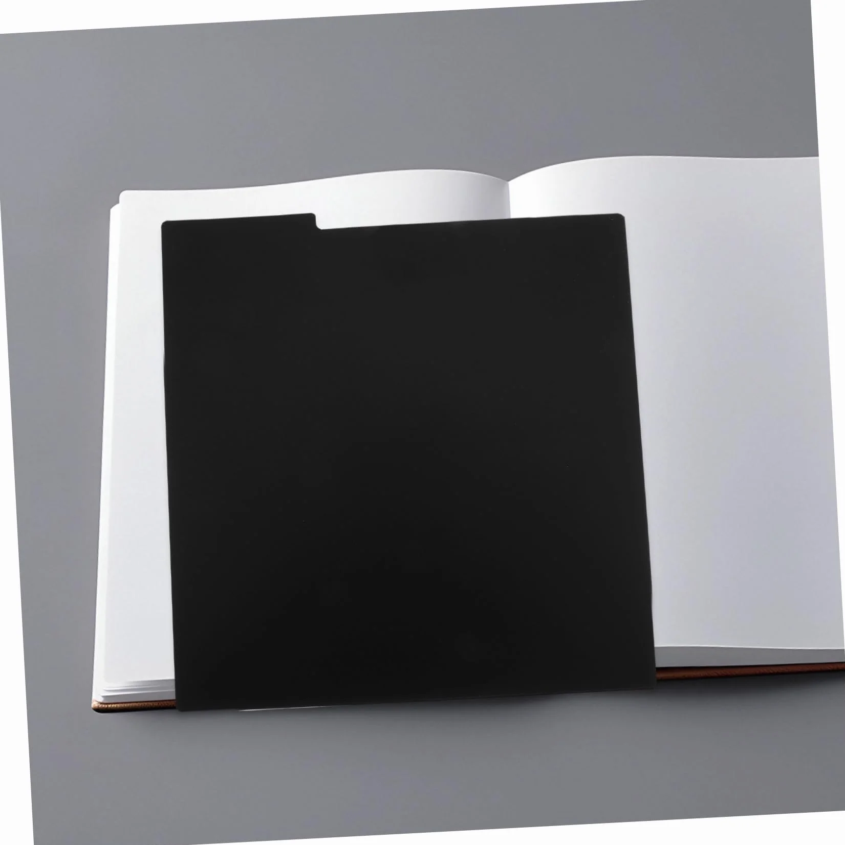 Hemobllo Divisori per Vinili in Pp Nero 15 Pezzi Resistenti alla Deformazione Design Creativo per Album e Dvd per Organizzazione e Conservazione Librerie