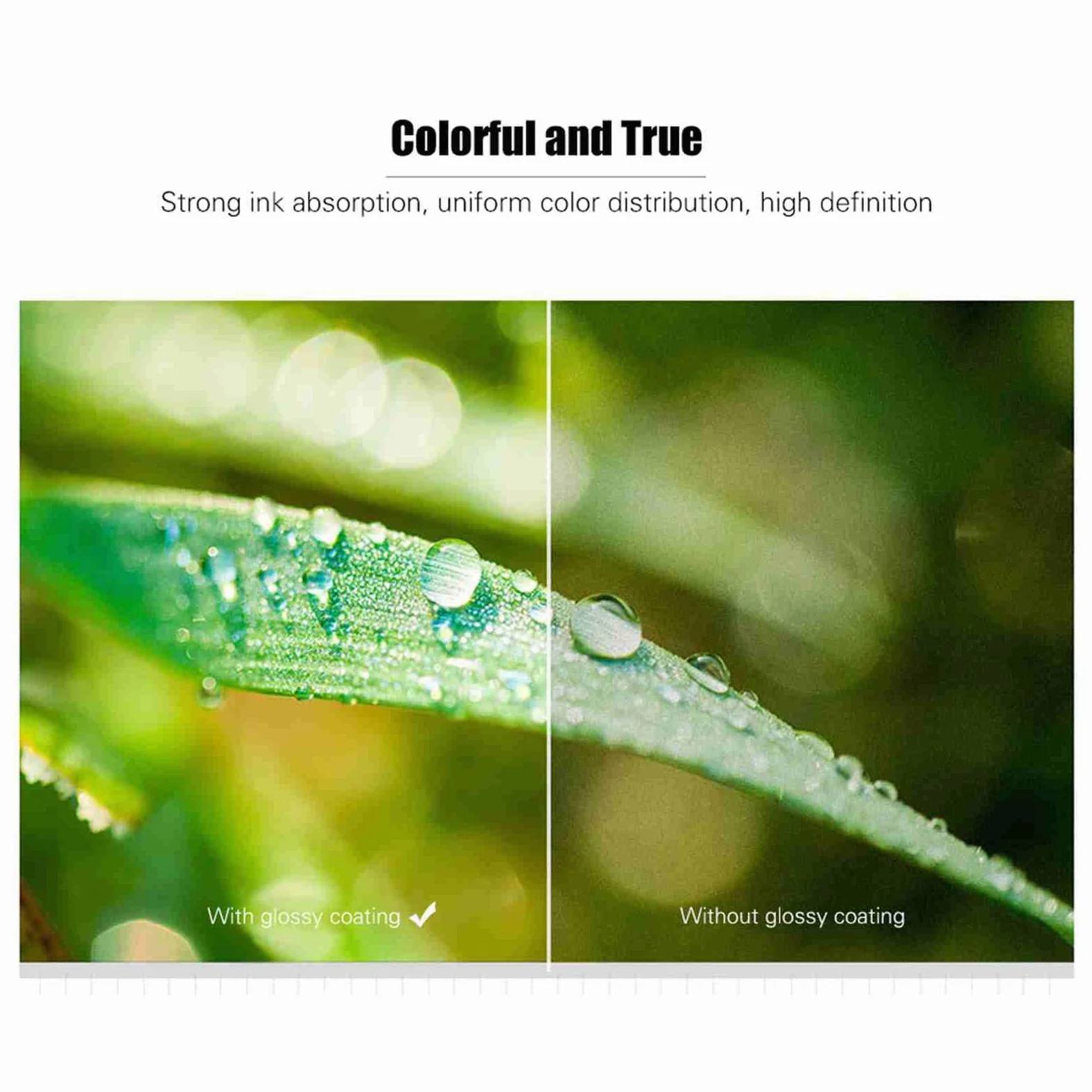 Carta Fotografica A4 Lucida ad Alta Brillantezza per Stampante, per Stampa Foto, Certificati, Brochure