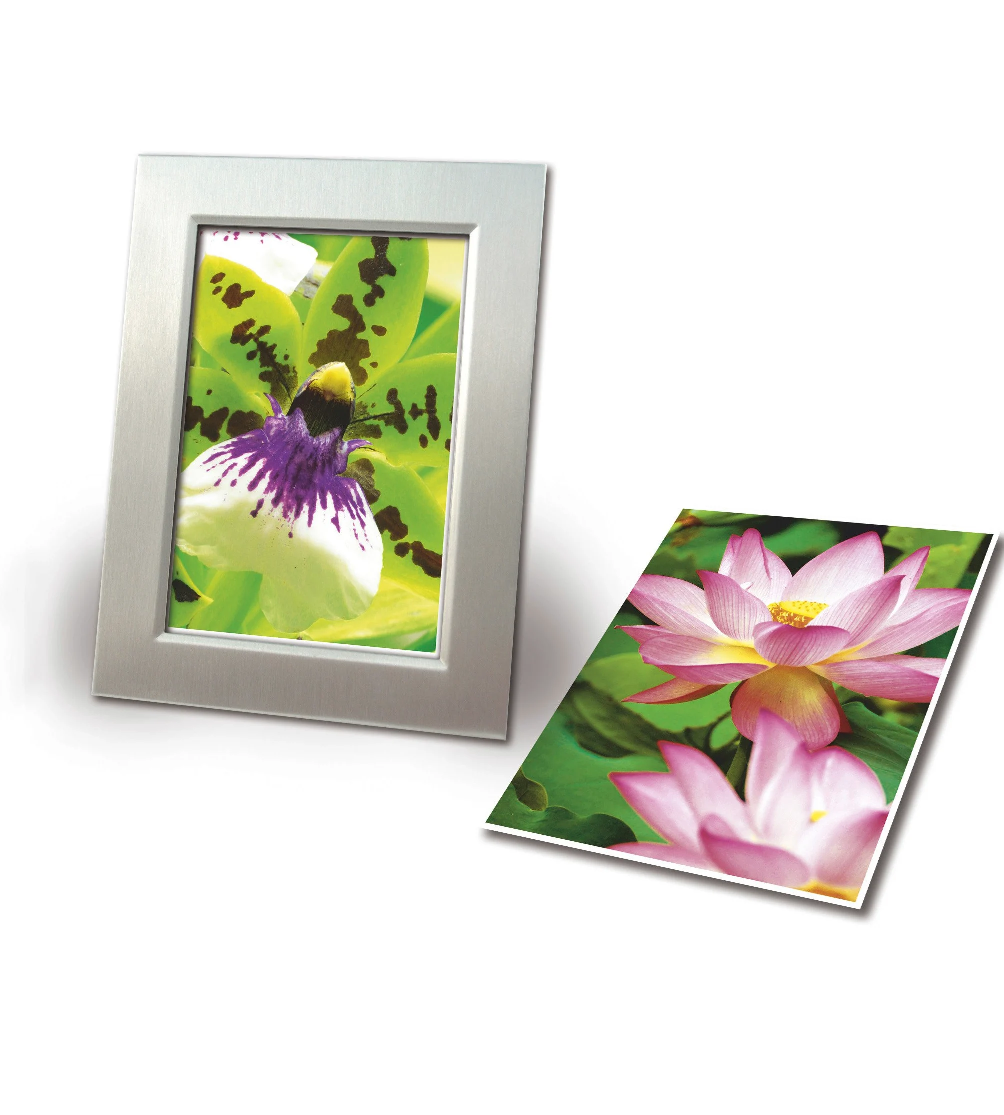 Avery Zweckform BIG PACK Carta fotografica per stampante a getto d'inchiostro DIN A4 2x20 fogli 40 fogli bianco brillante 270 g/m²