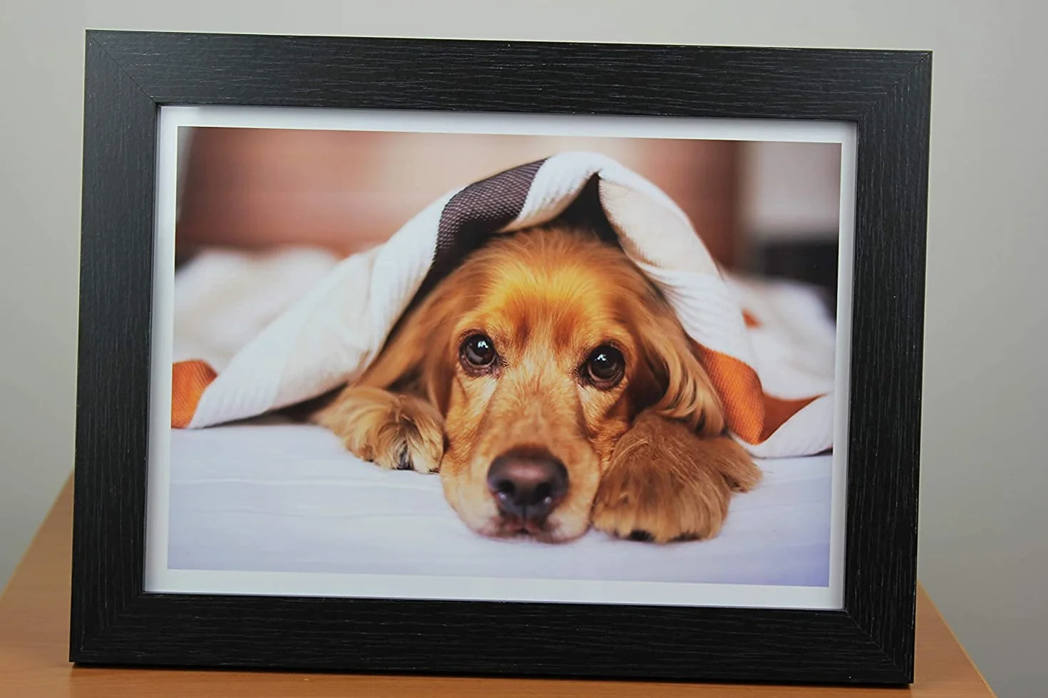 PPD A4 50 Fogli 180g Carta Fotografica Lucida per Stampanti Inkjet