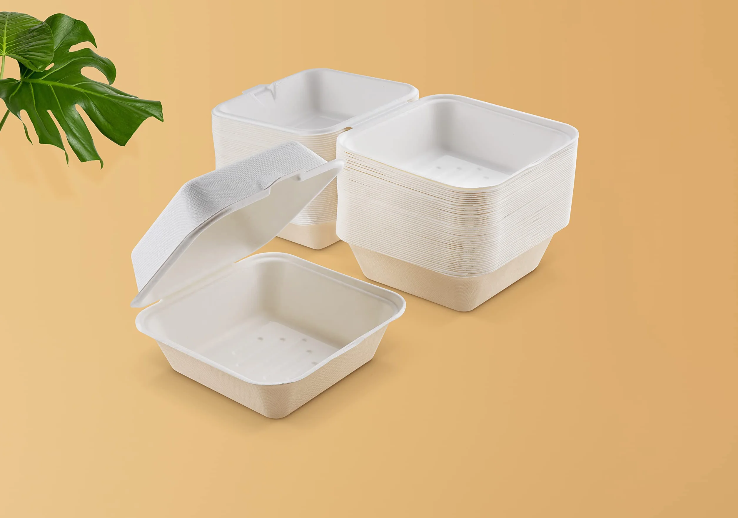 FOOGO Green 50 scatole per hamburger 15,2 cm 480 ml compostabili usa e getta