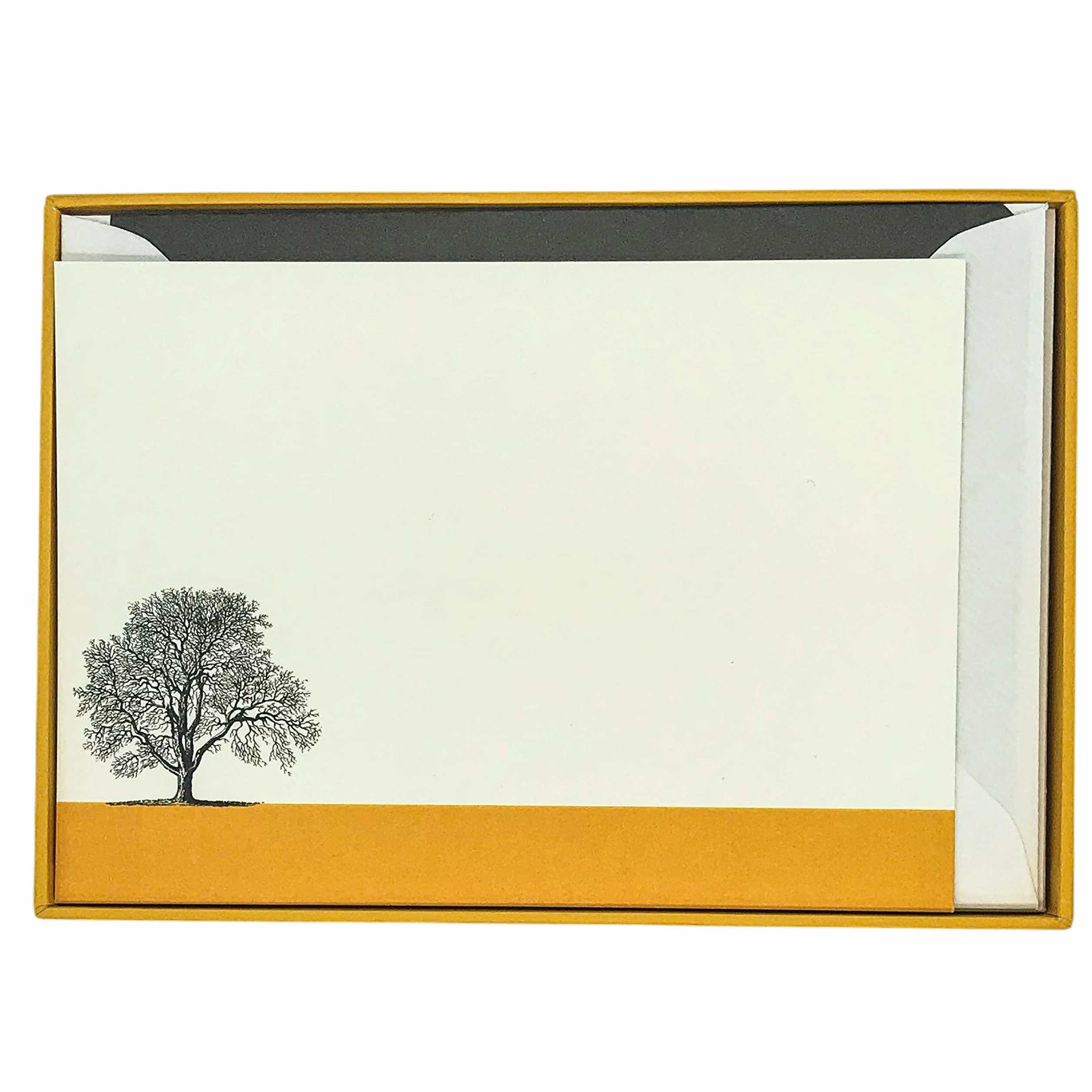 Condover Headlands set di biglietti di lusso con buste foderate 10 pezzi