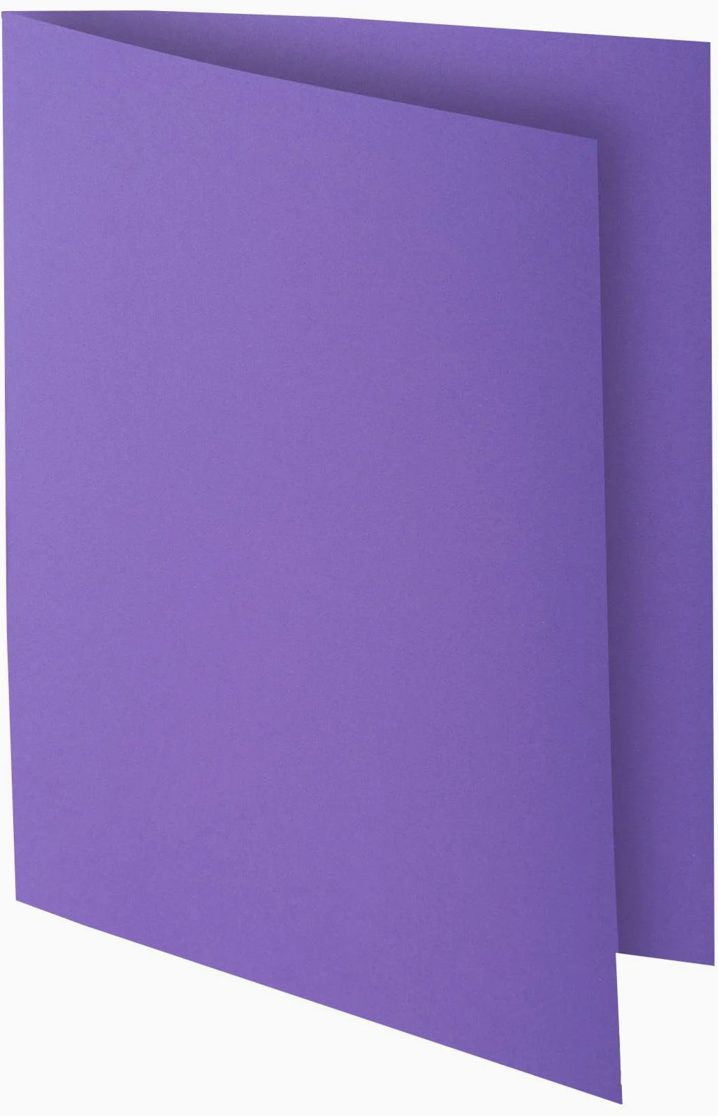 Exacompta 55545E Cartelle Semplici, 24x32 + 22x31 cm, Multicolore