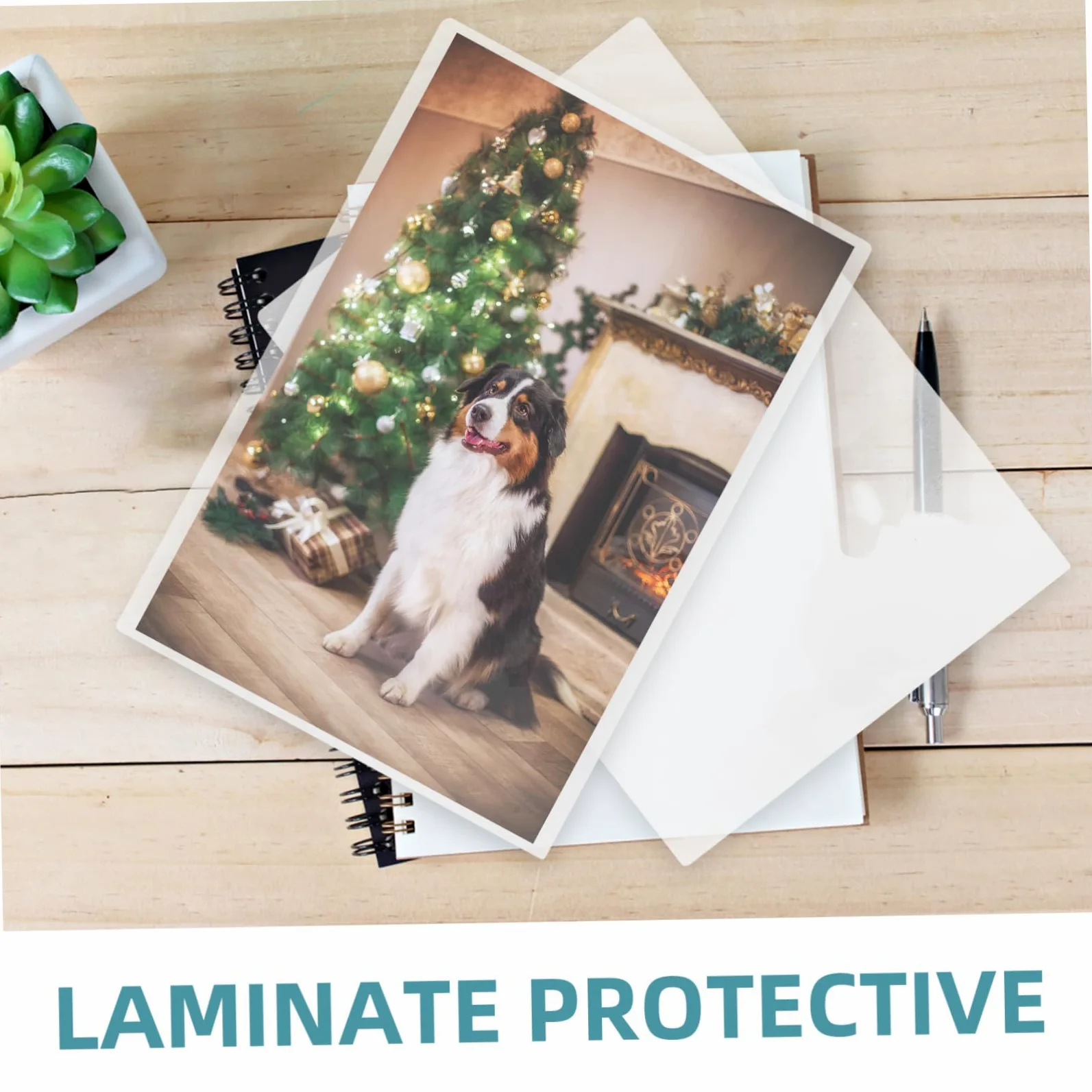 Pellicola Laminazione 100 Pezzi Pet Eva per Foto e Documenti | Film Protettivo Antiriflesso, Conservazione a Termine, Struttura Robusta Anti-sbiadimento