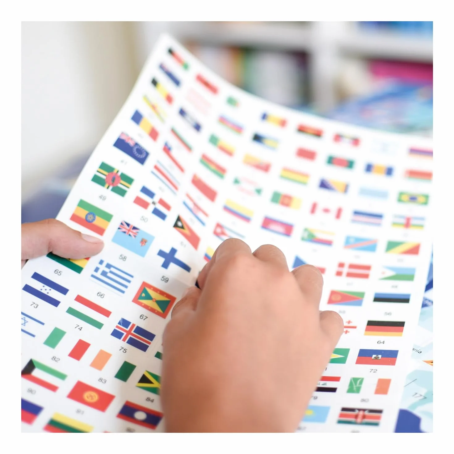 Poster interattivo con Adesivi Bandiere del Mondo 68 x 100 cm per Bambini 7+