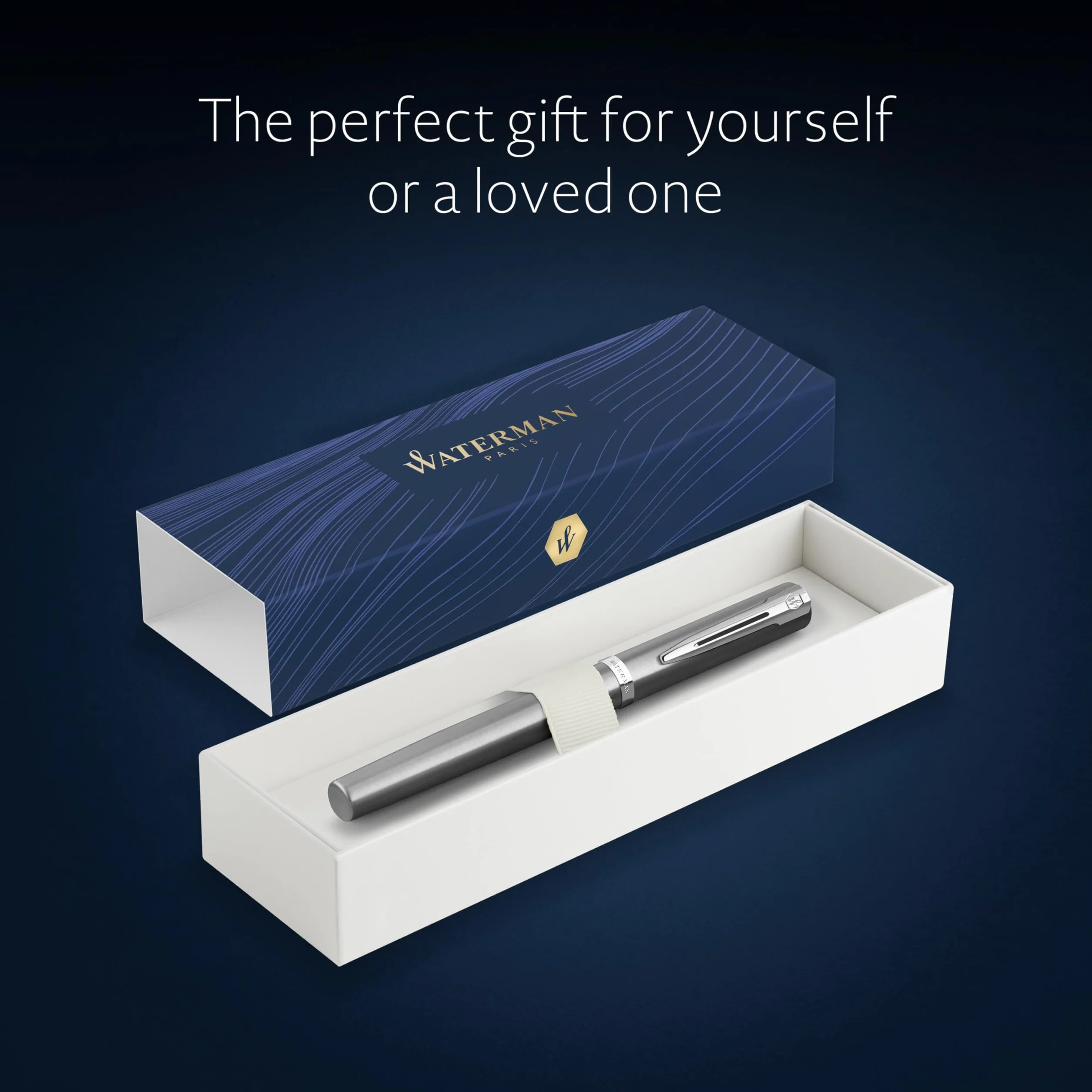 Waterman Impression Penna Stilografica | Pennino Fine con Ricarica di Inchiostro Blu | Acciaio Inossidabile con Rifiniture Placcate in Palladio | Confezione Regalo