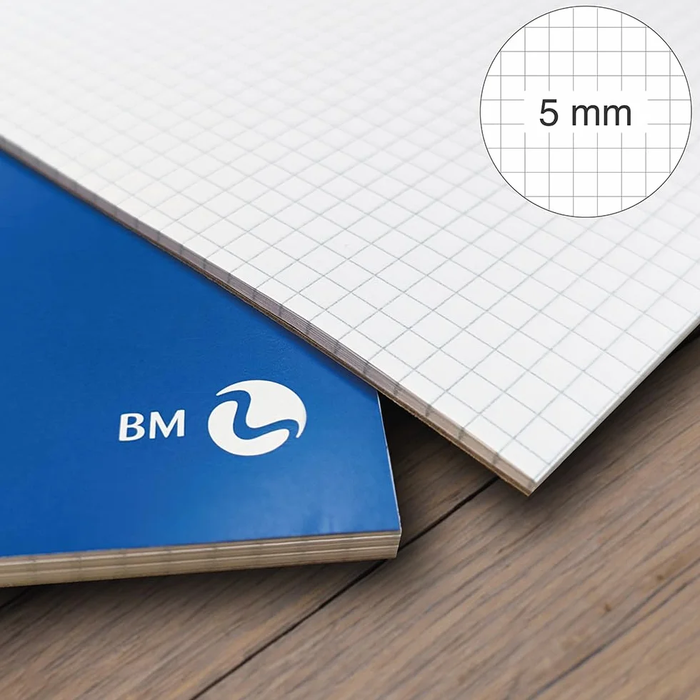 BM BeMore Blocco Notes Punto Metallico A4 Rigatura 5mm Quadretti 60g/mq Confezione da 10 Pezzi