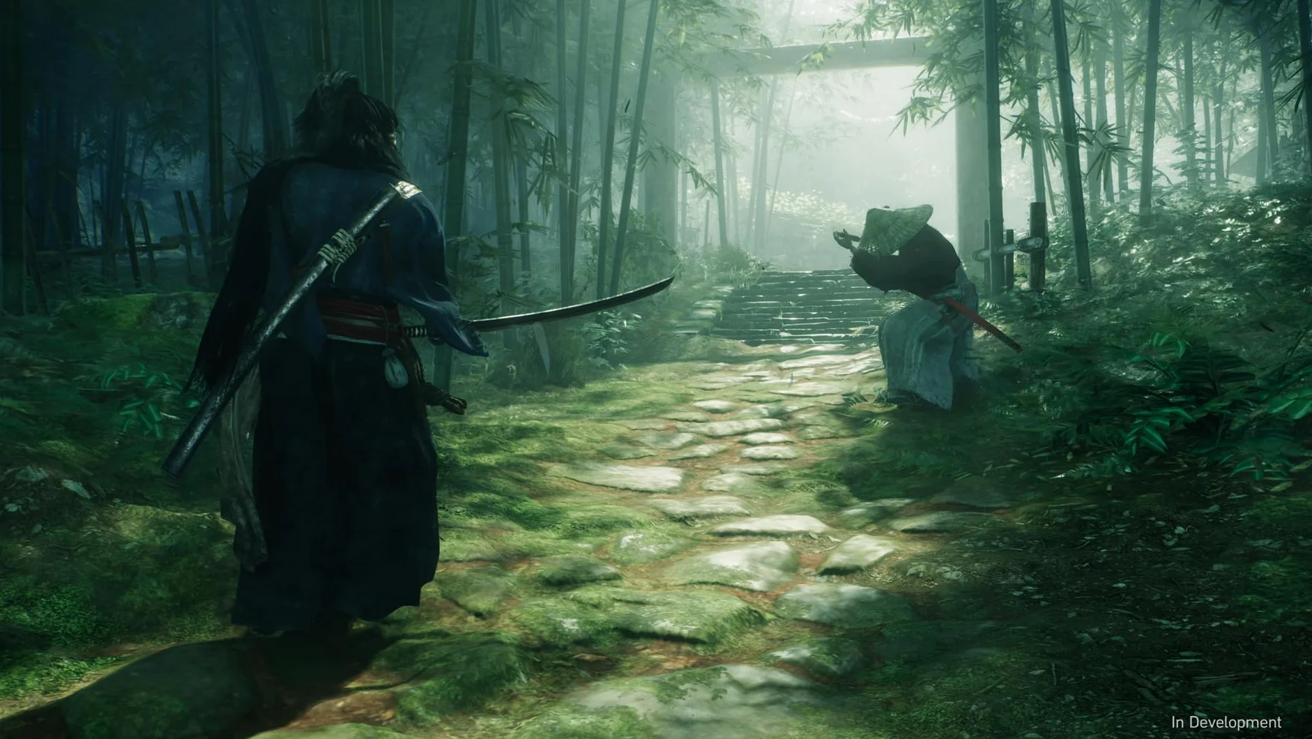 Videogioco PlayStation 5 Sony Rise of the Ronin (FR)