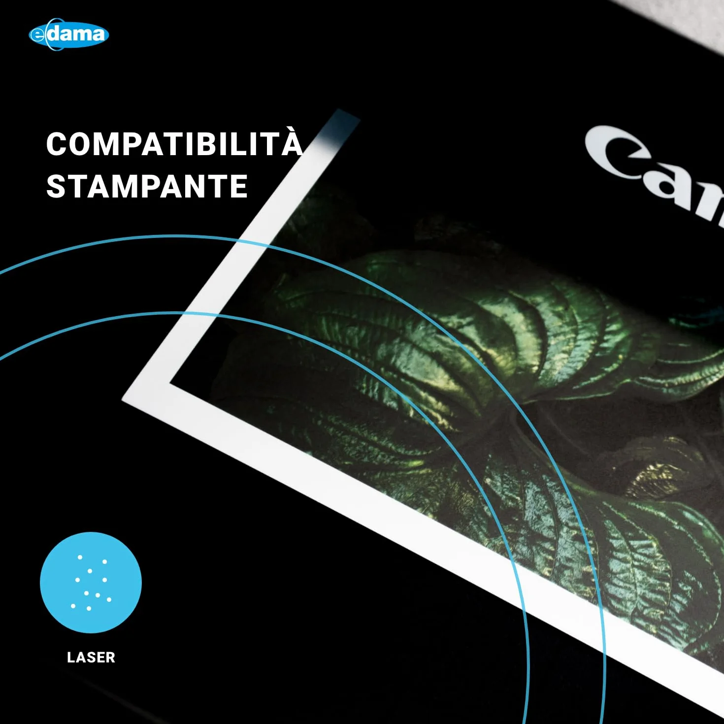 Fogli Adesivi Stampabili A4 210x297 mm Carta Adesiva Lucida Polipropilene per Stampante Laser Trasparente