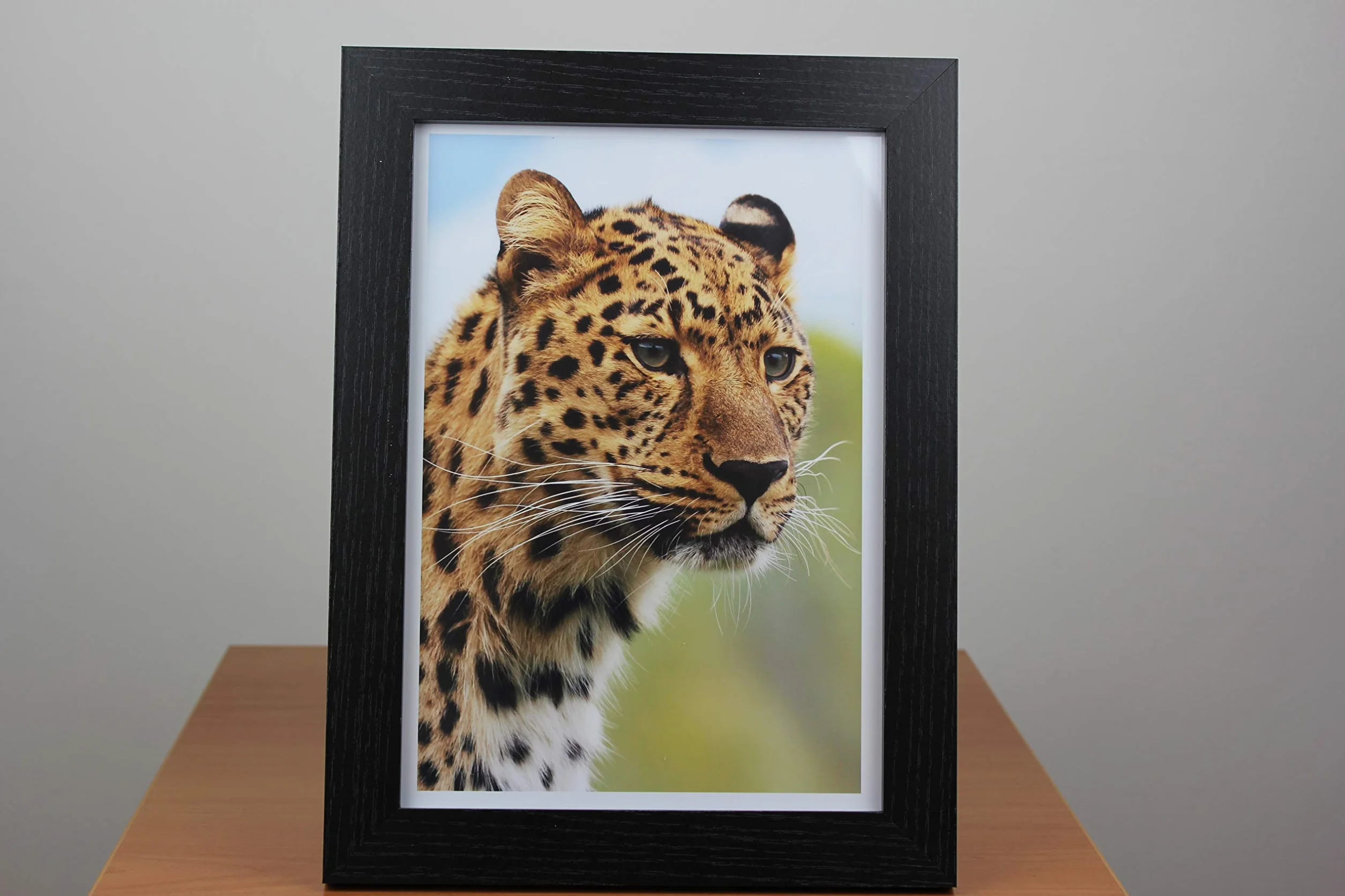 PPD A4 100 Fogli 280g Carta Fotografica Lucida Professionale Per Stampanti Inkjet - PPD-15-100