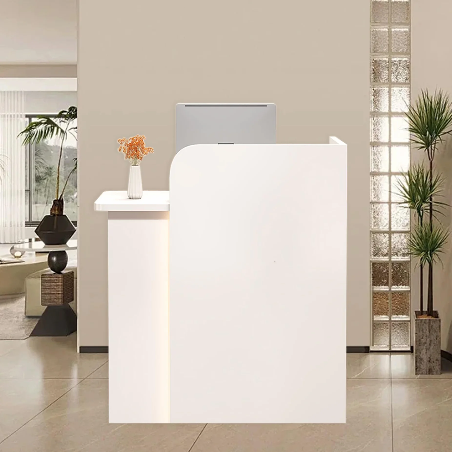 Piccola Banco Reception,Bancone Reception Estetica,Bancone Cassa,Banco Cassa per Negozio,Banconi di accoglienza Moderno con Cassetto,Consente di Risparmiare Spazio,Tavolo per Ufficio Beauty Salon(Whit