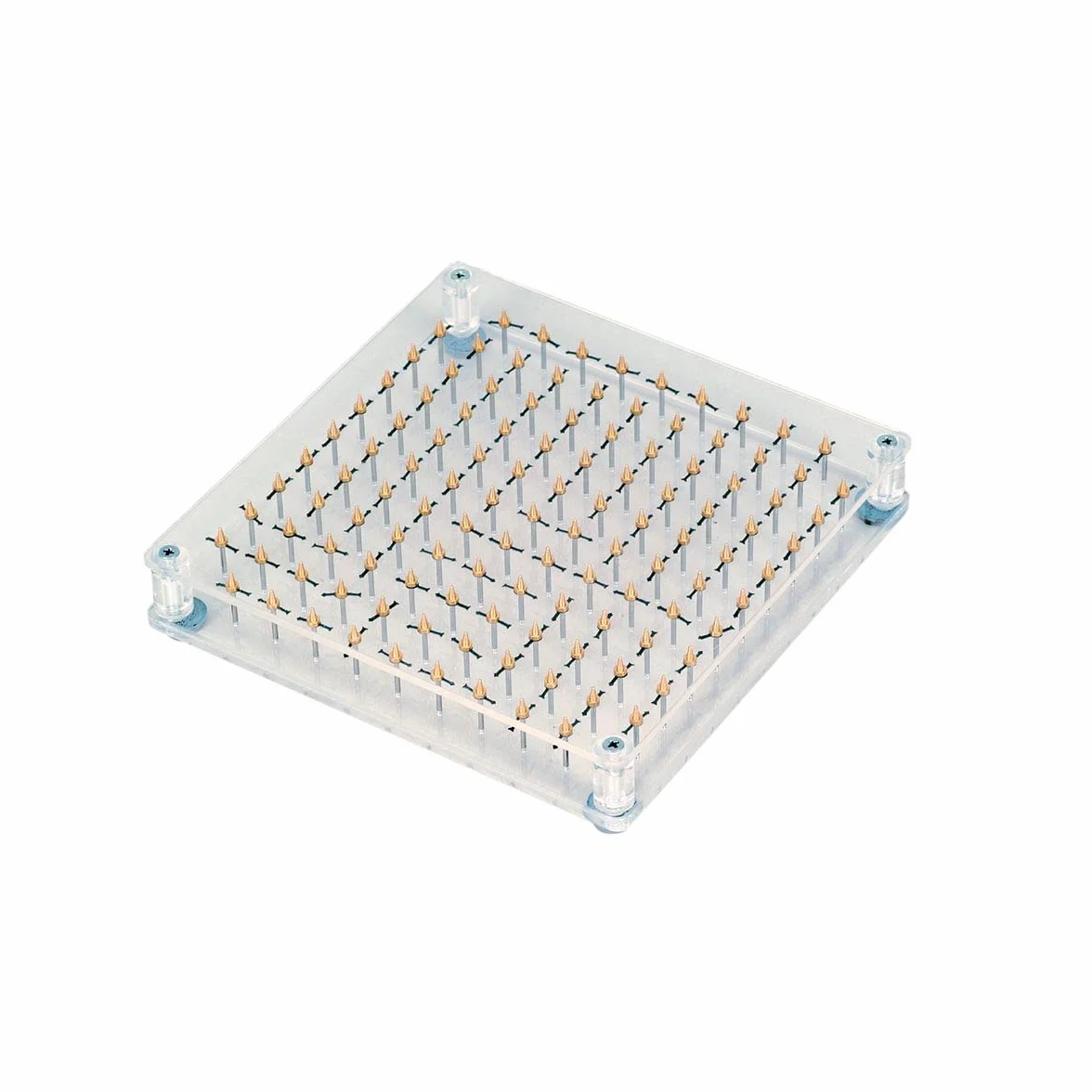 3B Scientific Modello Magnete, Cubico