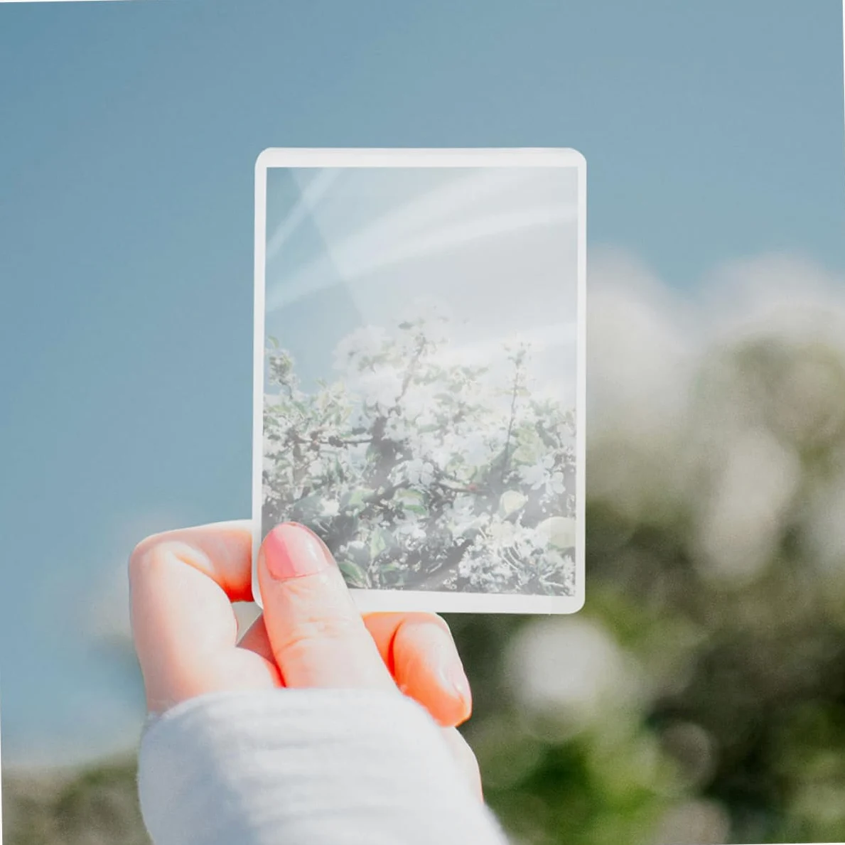 HOMSFOU 100pezzi Laminazione Trasparenti Pellicola Termica per Documenti Buste di Laminazione per Protezione di Foto e Opere d Arte