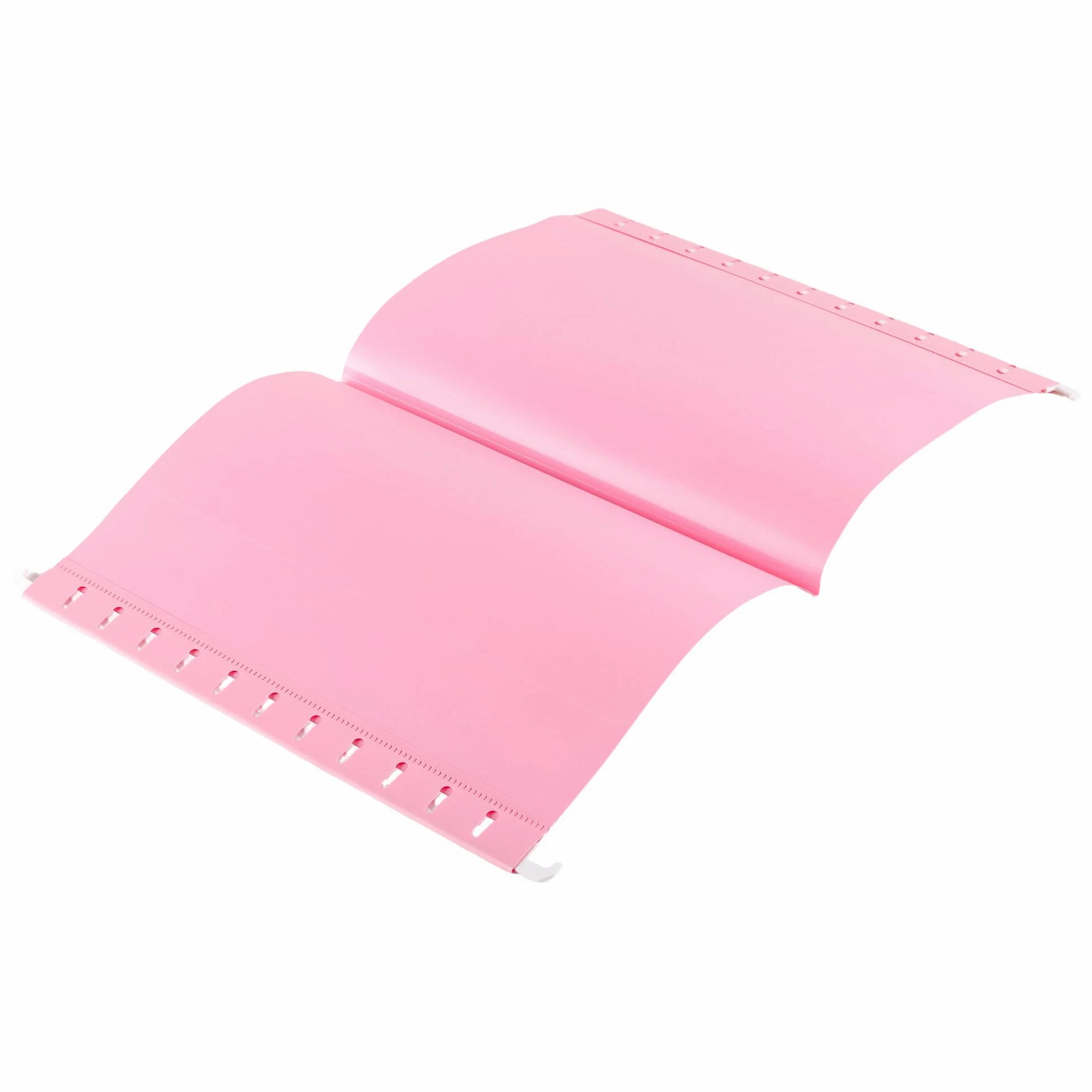30 cartelle sospese in formato A4, cartelle sospese per schedario, cartelle in plastica da appendere con linguette per ufficio, organizzazione della casa