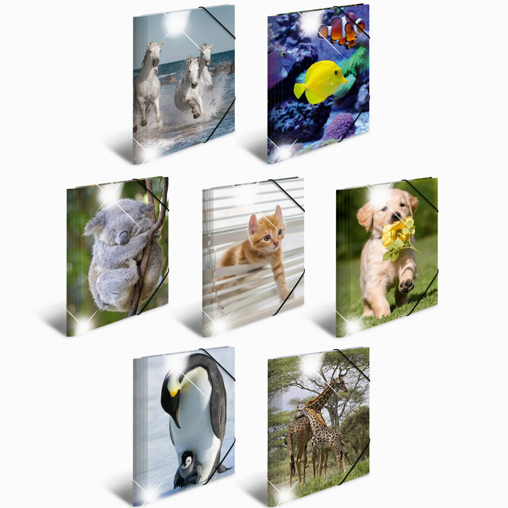 HERMA Set di 10 cartelline portadocumenti in plastica con motivo animale, effetto lucido, elastico, alette interne e stampa interna per ragazzi e ragazze
