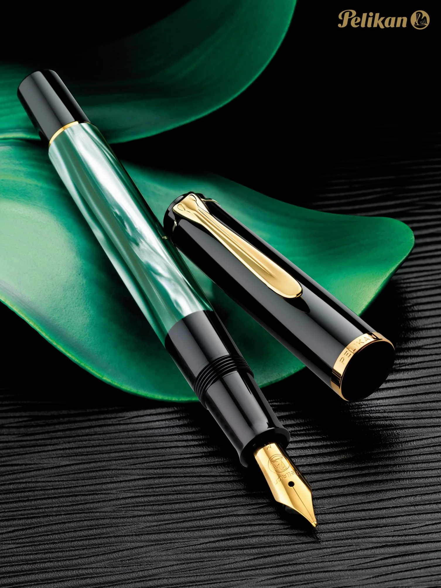 Pelikan 984195 - Penna Stilografica Linea M200 Classic, Verde Marmorizzato/Nero, Dettagli Oro 24K, Pennino in Acciaio Inossidabile, Dimensione M, in confezione regalo