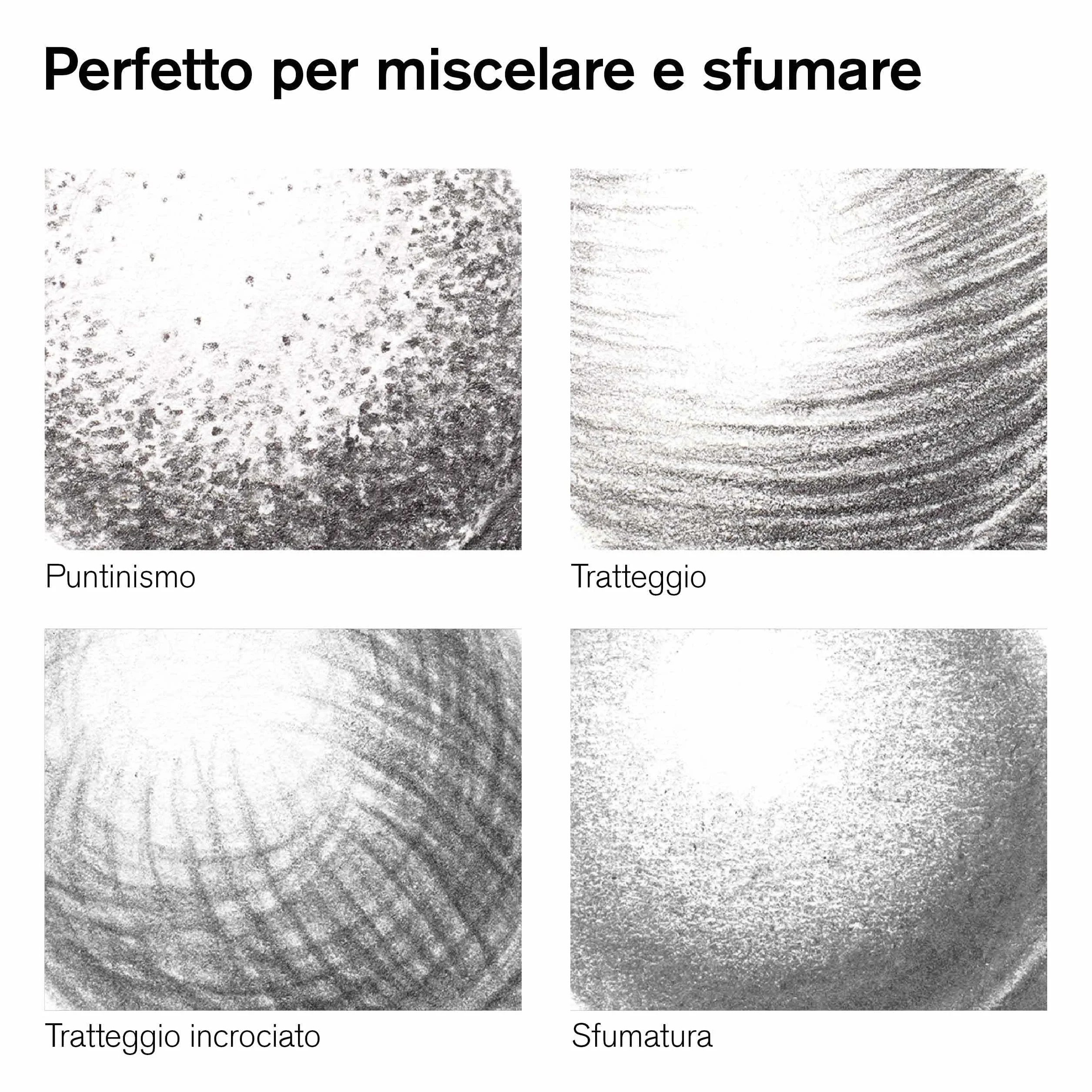 Winsor & Newton Studio Collection Matite Carboncino Scatola In Metallo 6 Pezzi
