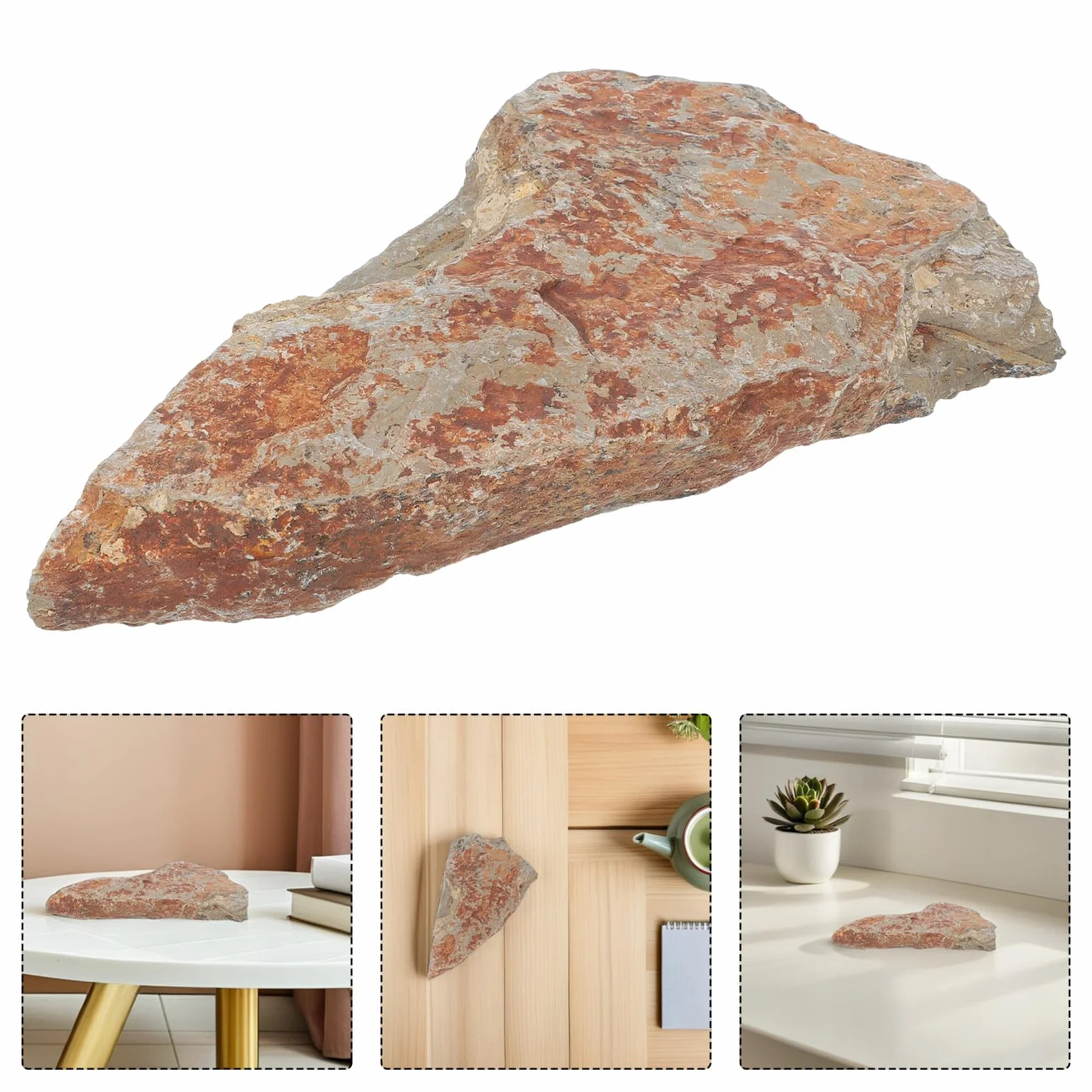 KOMBIUDA Campione di Felce Autentico in Pietra Naturale, Decorazione Elegante per Scrivania, Reperto Paleobotanico Duraturo per Collezione Scientifica e Arredamento Interno