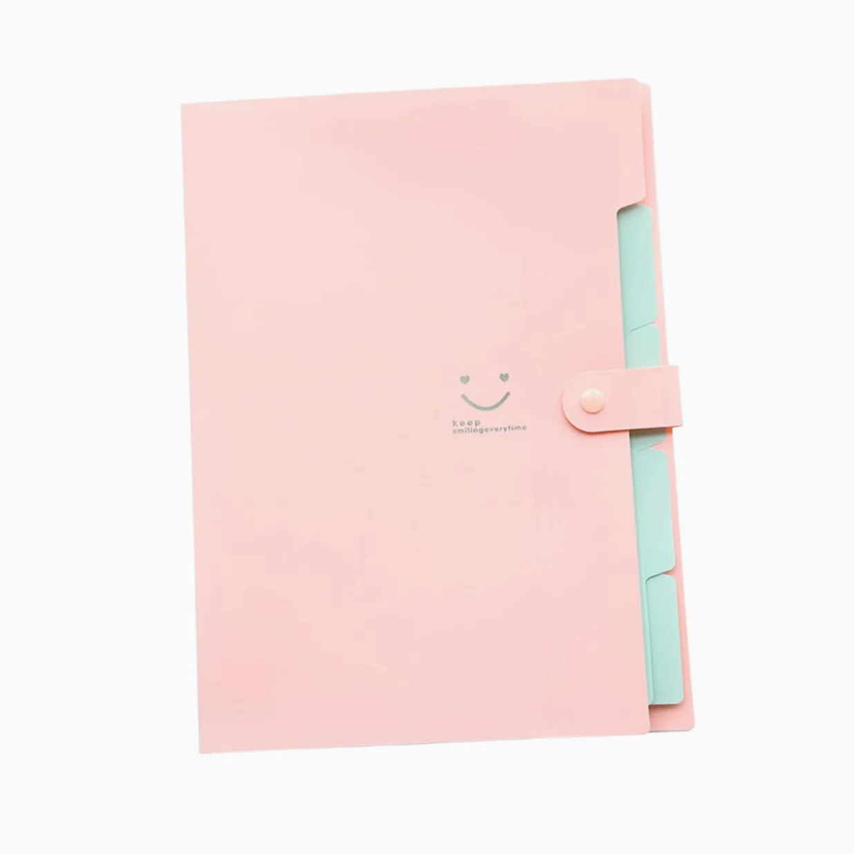 Cartella Portadocumenti Espandibile a 5 Tasche Chiusura Snap | Set in Plastica, per Scuola e Ufficio, Organizer a Fisarmonica per Fogli Formato A4 e Letter