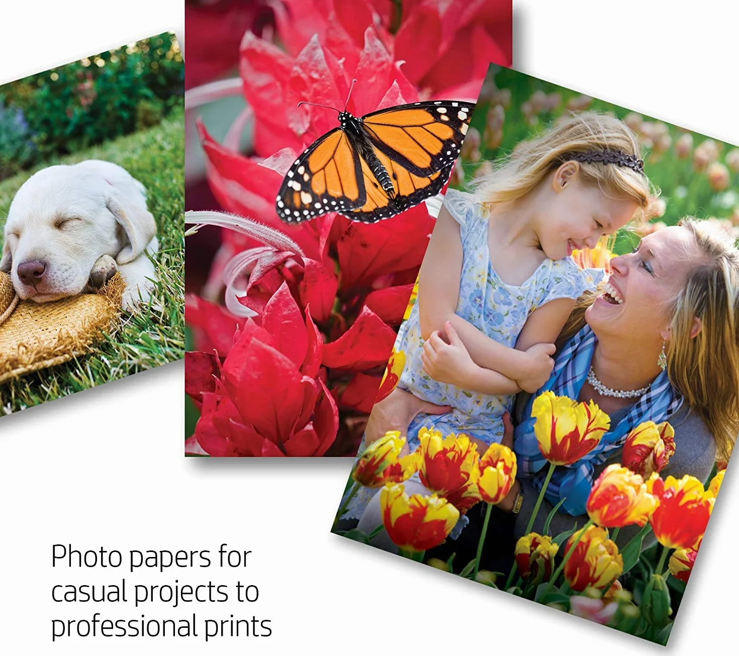 Bambalio BPG 180-50 - Carta fotografica lucida, formato A4, 180 g/m², confezione da 50