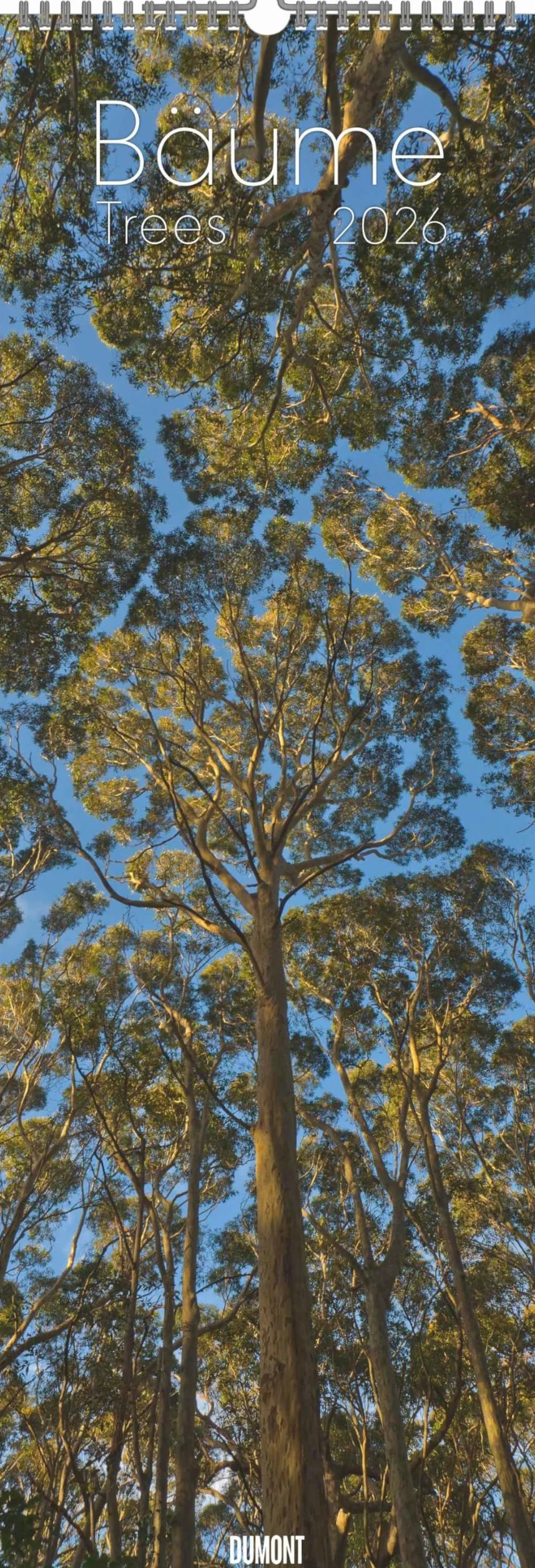 DUMONT - Alberi 2026 – Calendario da parete King-Size 34×98 cm con 12 fotografie di alberi di tutto il mondo, calendario della natura per gli amanti della natura e degli alberi: Trees