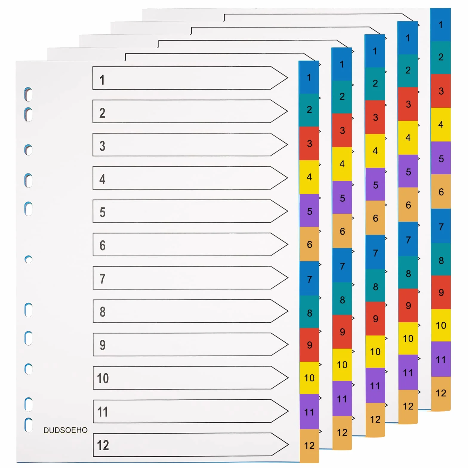 Fogli divisori per raccoglitori A4 Mylar colorato 12 pezzi confezione 5 divisori con fori
