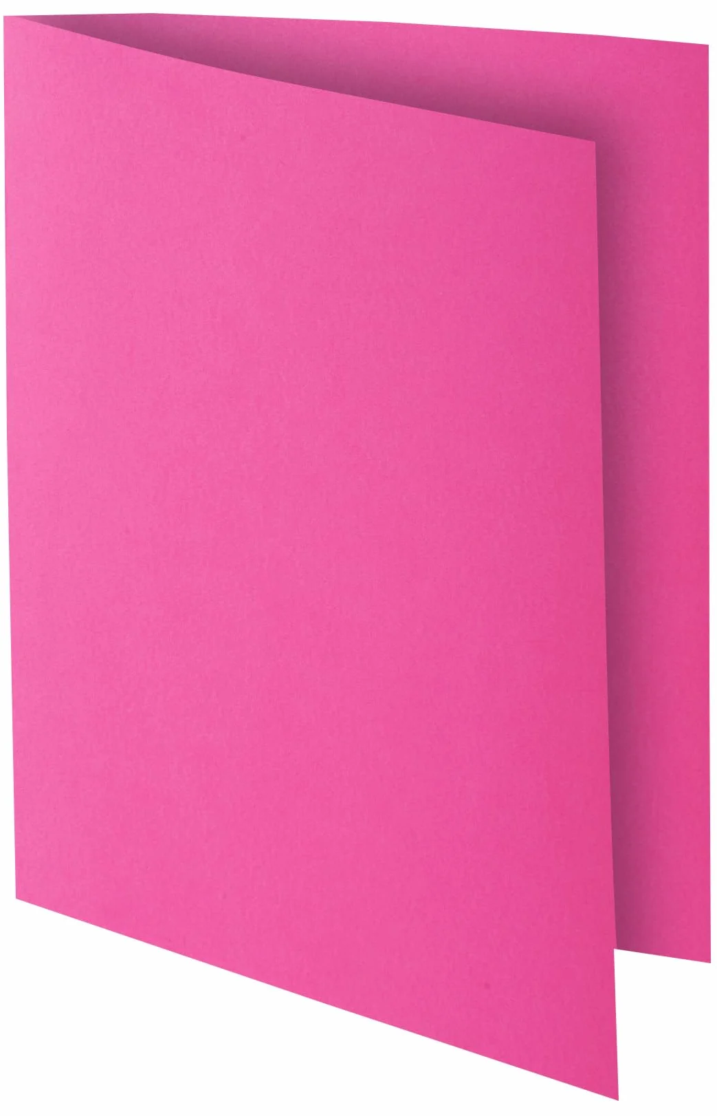Exacompta 55545E Cartelle Semplici, 24x32 + 22x31 cm, Multicolore