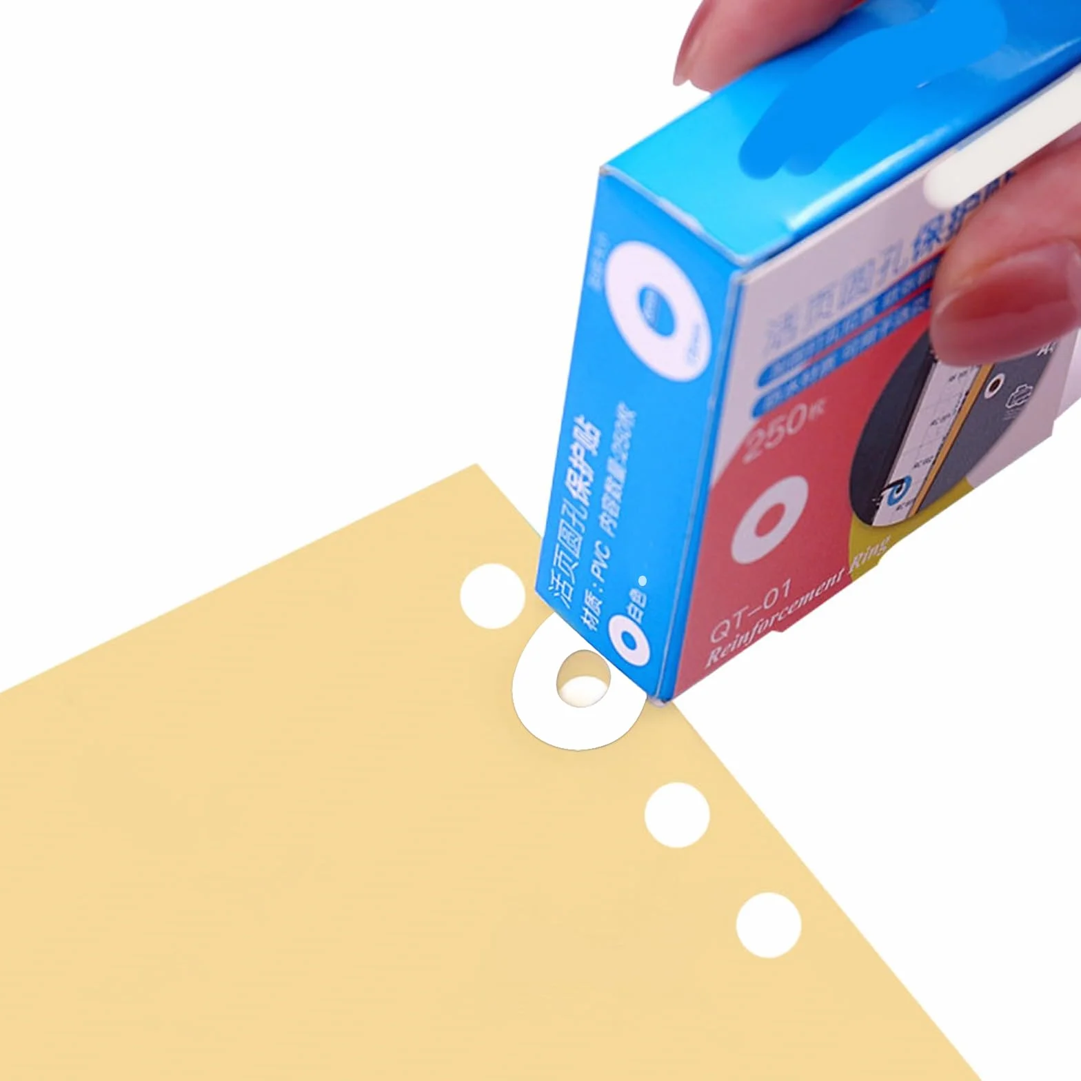 Etichette Rinforzo Autoadesive Impermeabili 500 pcs Salvabuchi Fori per Ufficio Scuola