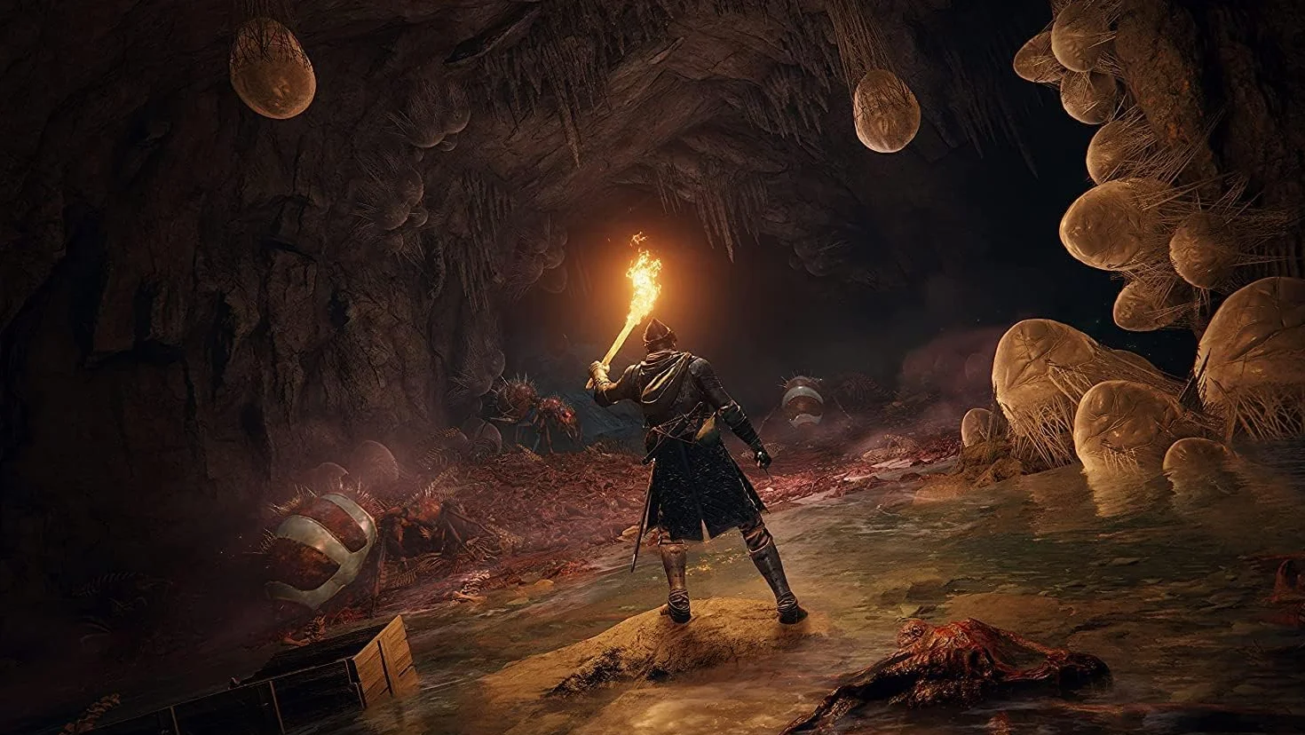 Elden Ring (PS5)