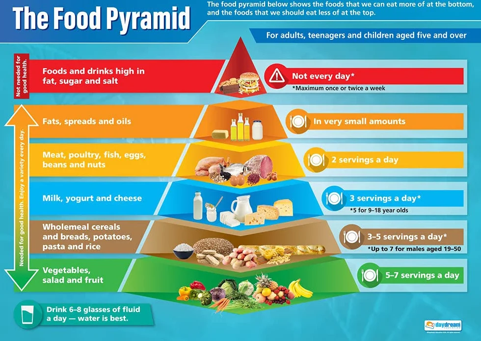 Piramide alimentare | Poster scientifico | Carta lucida laminata misura 850 mm x 594 mm (A1) | Grafici scientifici per l'aula | Grafici didattici di Daydream Education