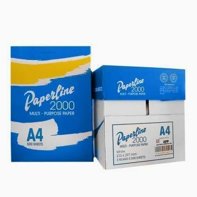 Fogli di carta bianca Paperline-2000 (75 g A4), confezione da 500 fogli (confezione da 5 pacchetti)