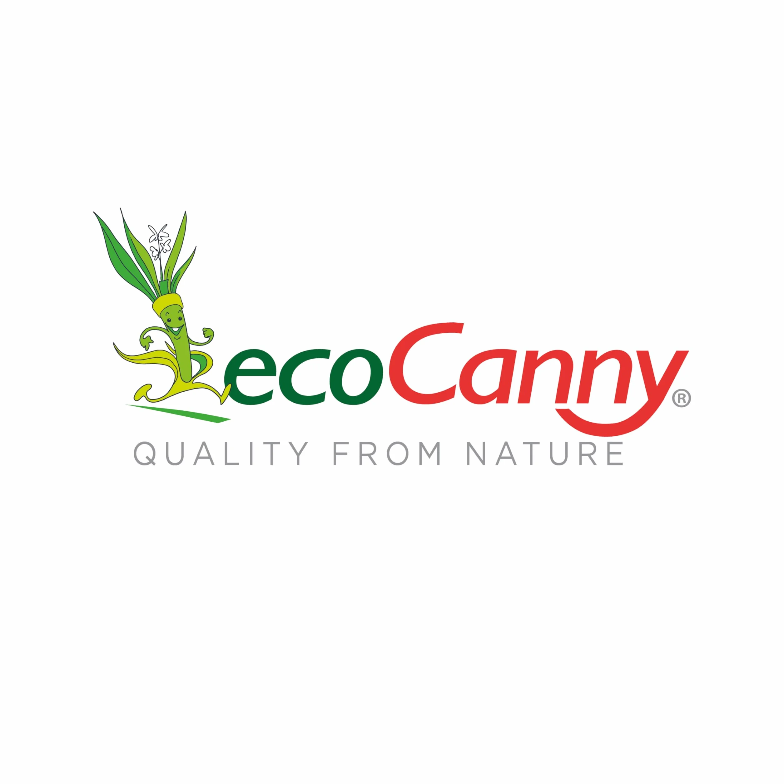 Ciotola Ecologica in Canna da Zucchero 205mm Biodegradabile Compostabile 25 Pezzi