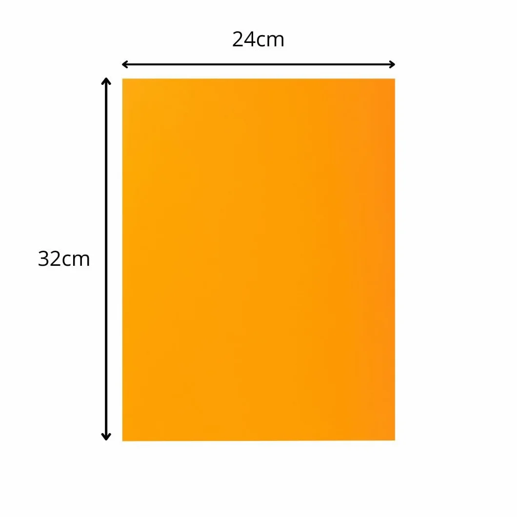 Exacompta 55545E Cartelle Semplici, 24x32 + 22x31 cm, Multicolore
