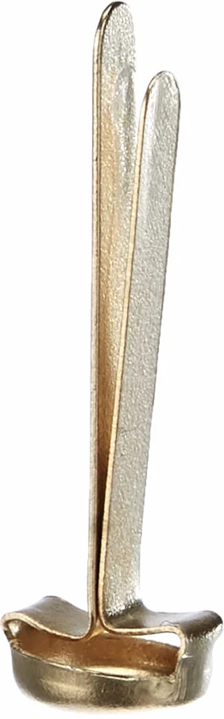 Fermacampioni Leone Dell'Era N°5 25 mm Scatola appendibile