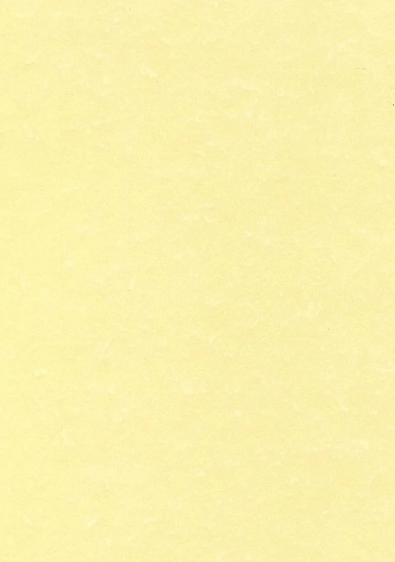 Decadry PCL1807 Carta Pergamenata A3 Champagne 165 G/Mq 25 sztuk