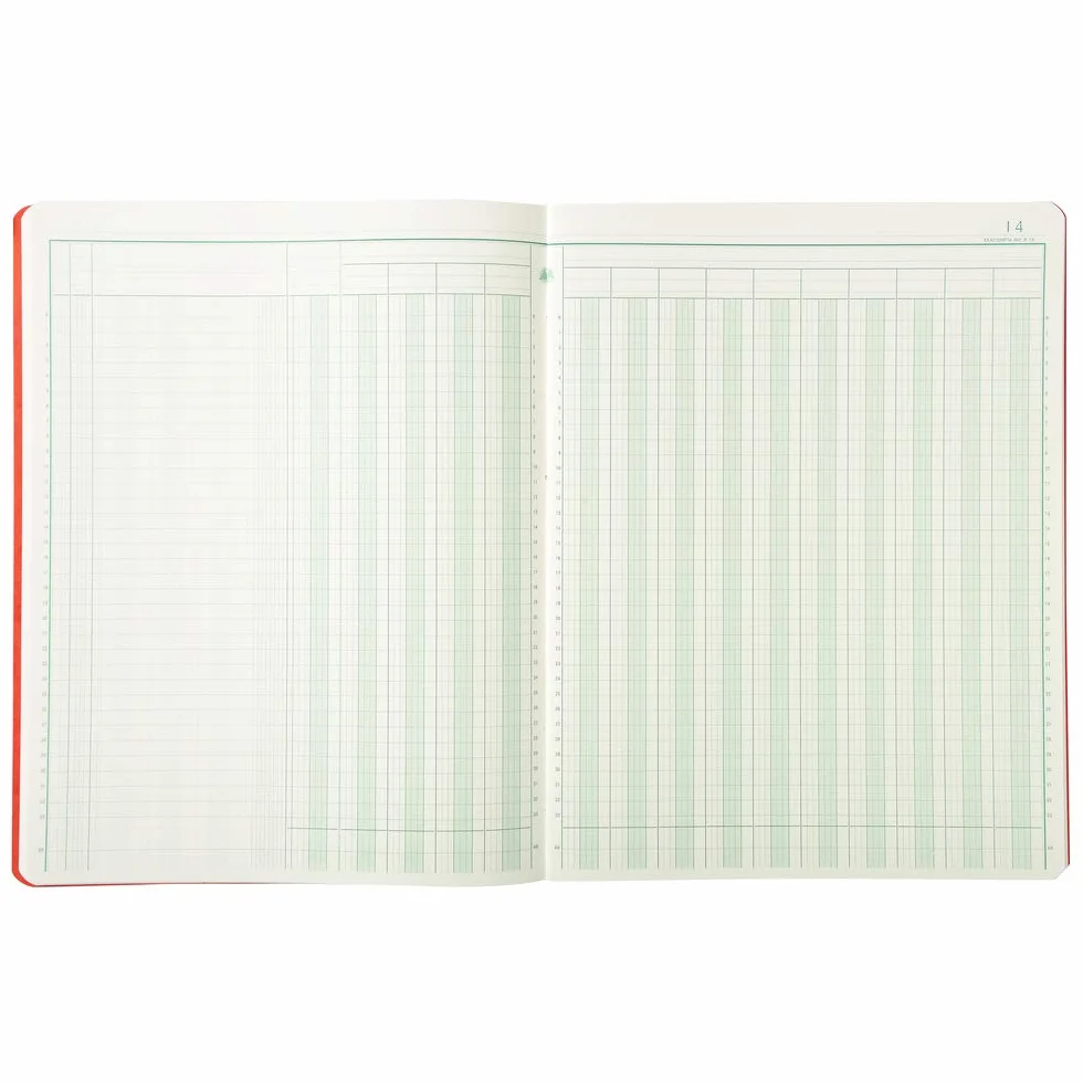 Exacompta 4015E - Pizzichino a 15 colonne 32 x 25 cm, 15 colonne su 2 pagine, 33 righe per pagina, 80 pagine, carta 110 g, colori casuali