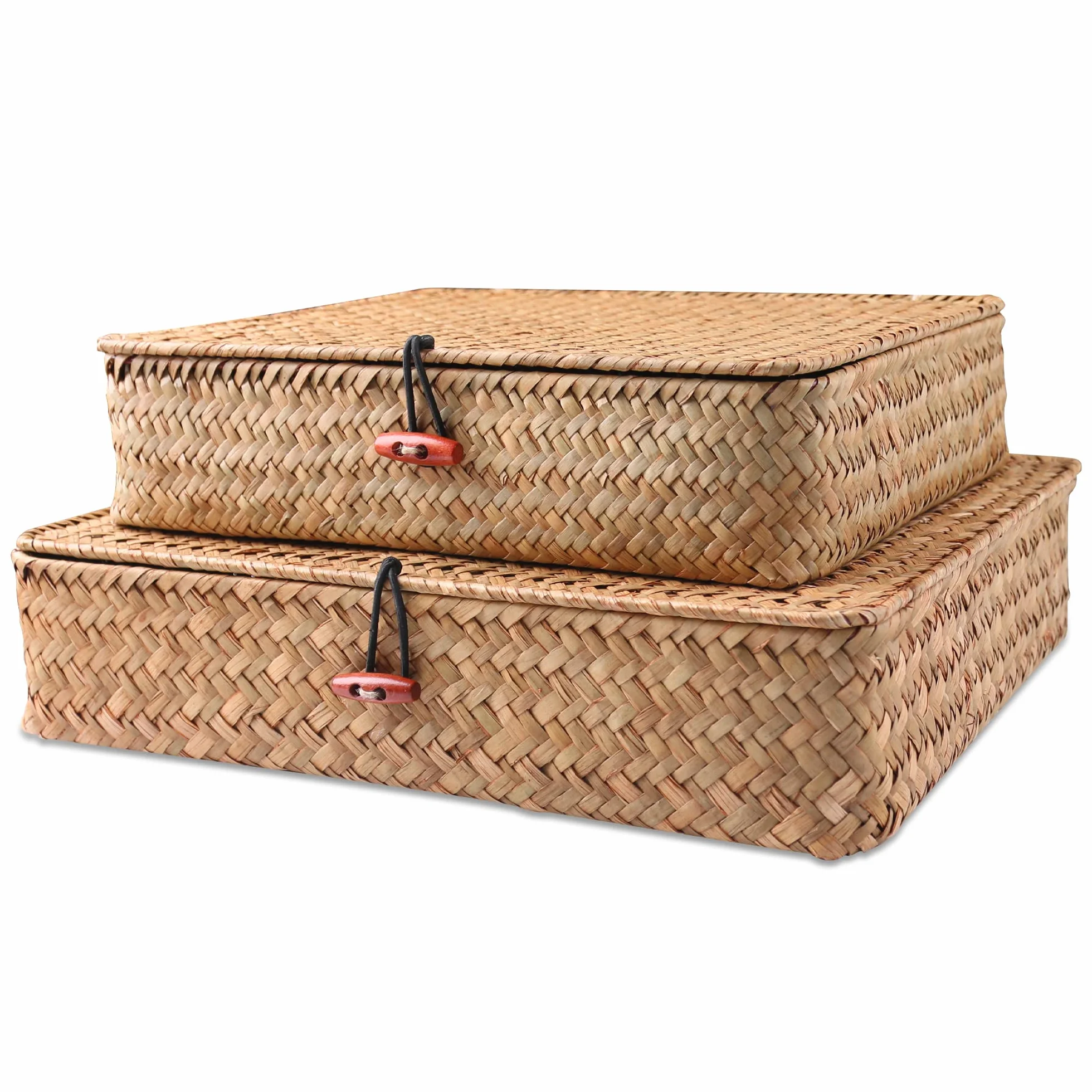 FEILANDUO Cesti portaoggetti in vimini con coperchi, per organizzare ripiani in alghe marine naturali, in rattan intrecciato, stile bohémien, decorazione per la casa, set di 2 (naturale)