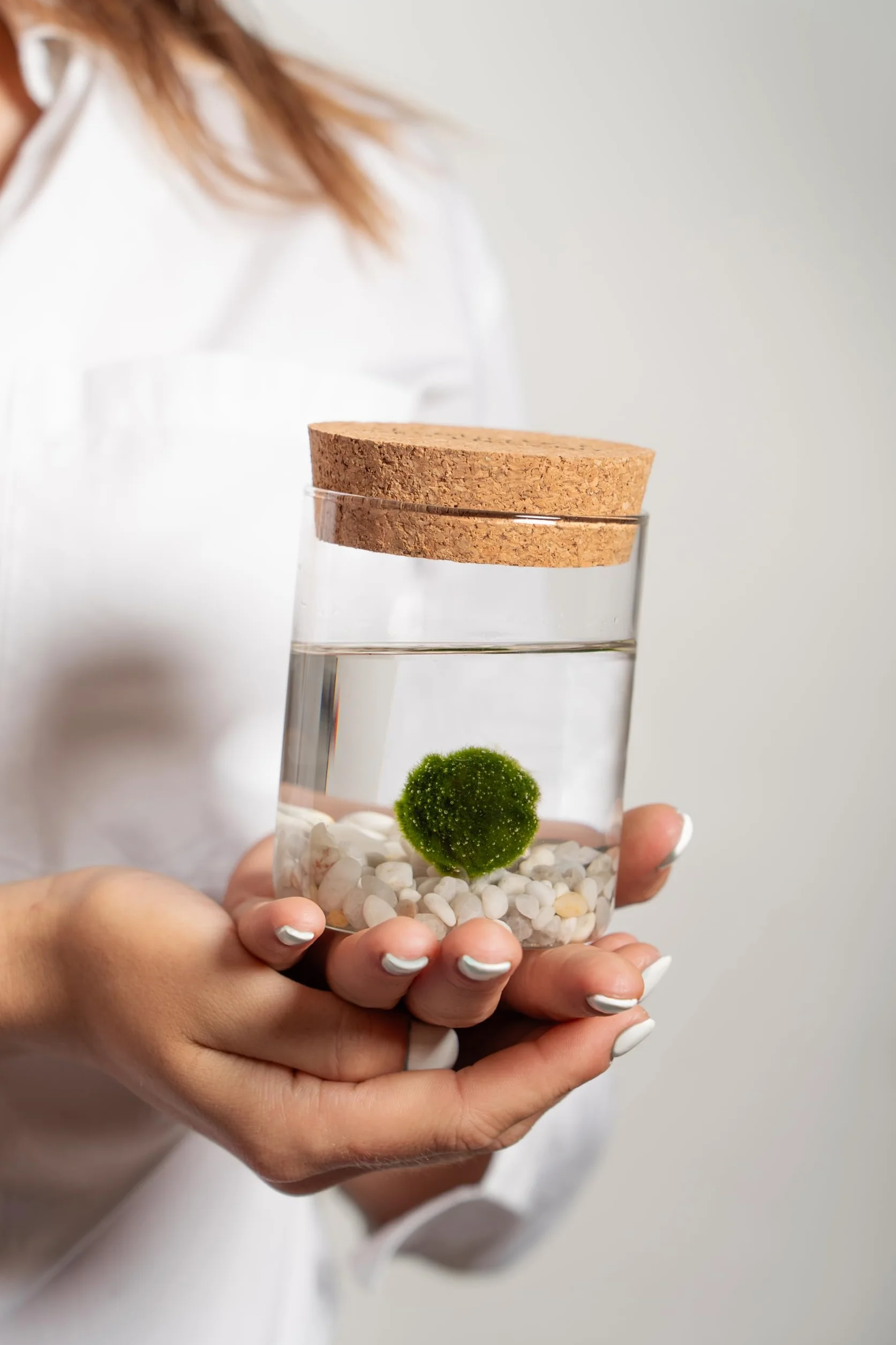 KAKI La Felicità è Nelle Piccole Cose Marimo Coppia Originale Vaso Vetro con Tappo Sughero Leggenda, Artigianale, Fondale Naturale, Diametro 8cm, Altezza 11cm, Made in Italy