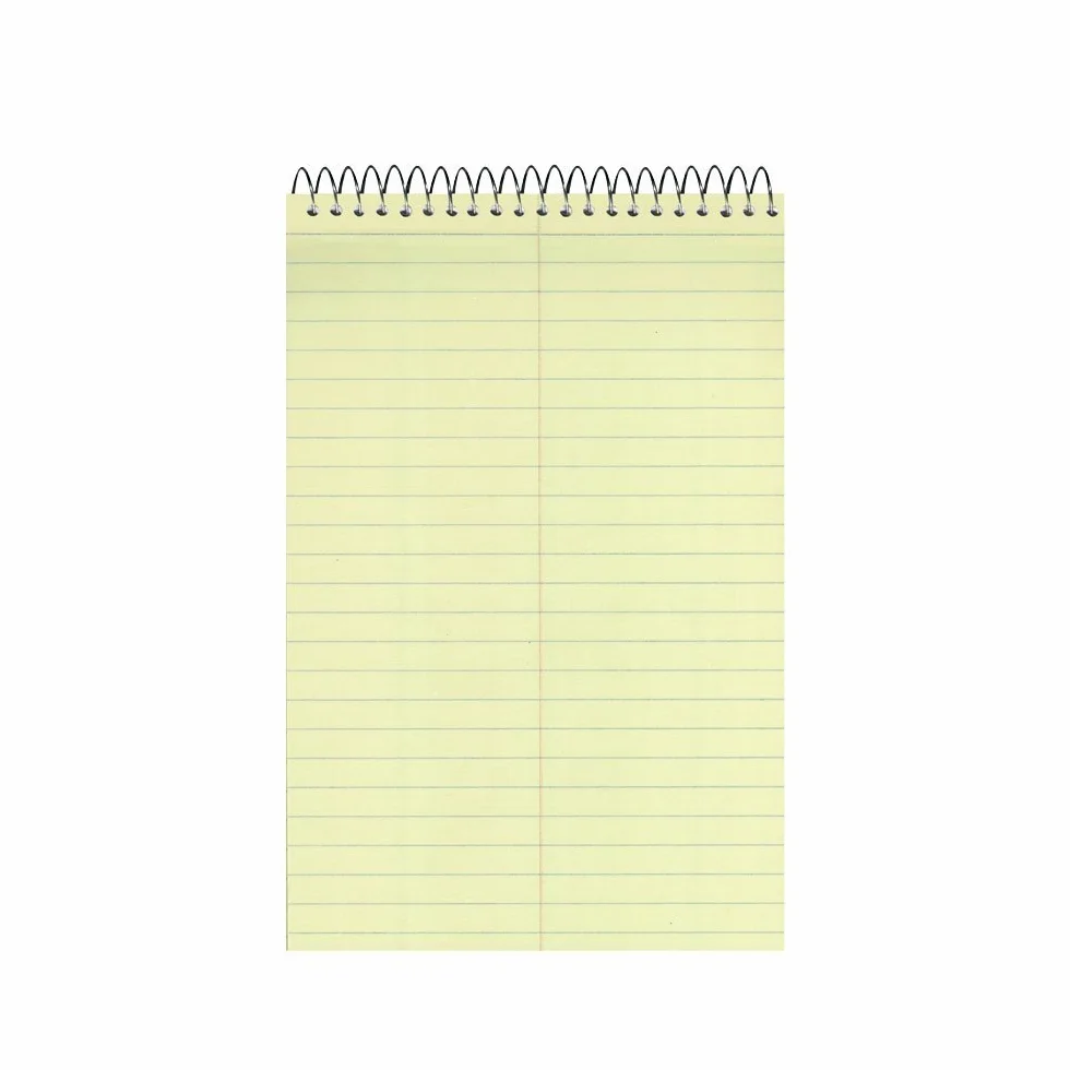 National Brand Steno 36646-12 - Taccuino con copertina marrone, carta verde Eye-Ease, a righe, 15,2 x 22,9 cm, 12 quaderni da 60 fogli ciascuno